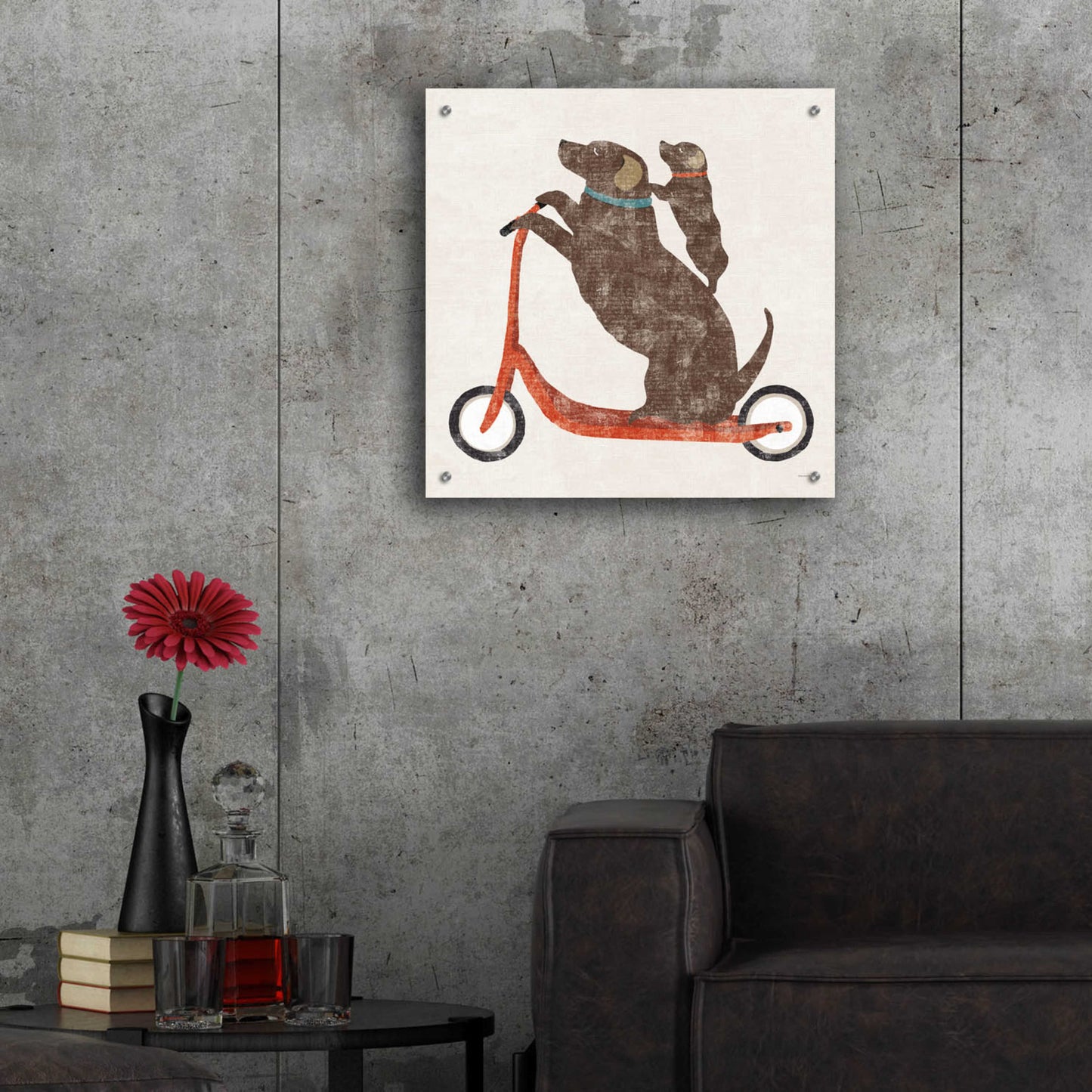 Epic Art 'Lab Scooter Ride' by Sue Schlabach, Acrylic Glass Wall Art,24x24