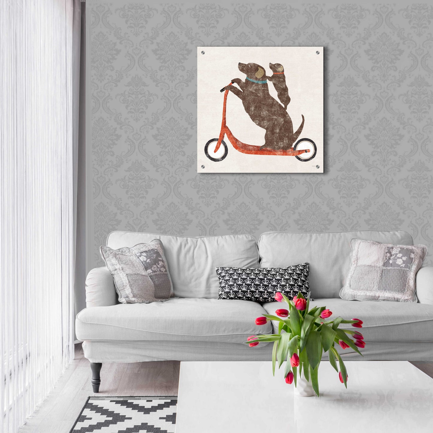 Epic Art 'Lab Scooter Ride' by Sue Schlabach, Acrylic Glass Wall Art,24x24
