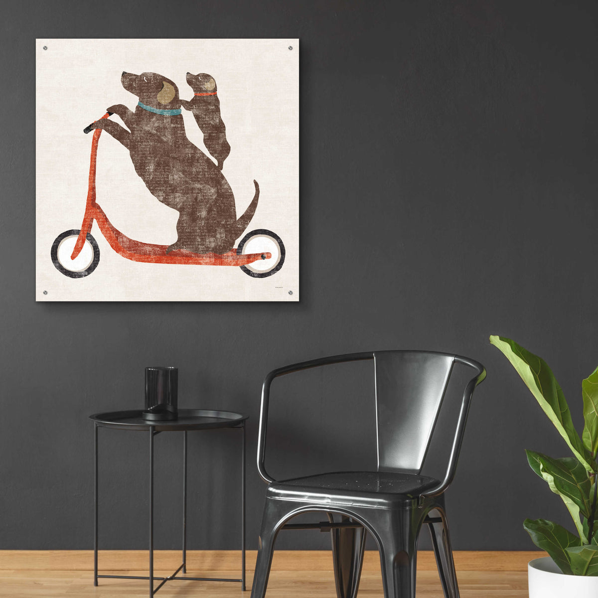 Epic Art 'Lab Scooter Ride' by Sue Schlabach, Acrylic Glass Wall Art,36x36