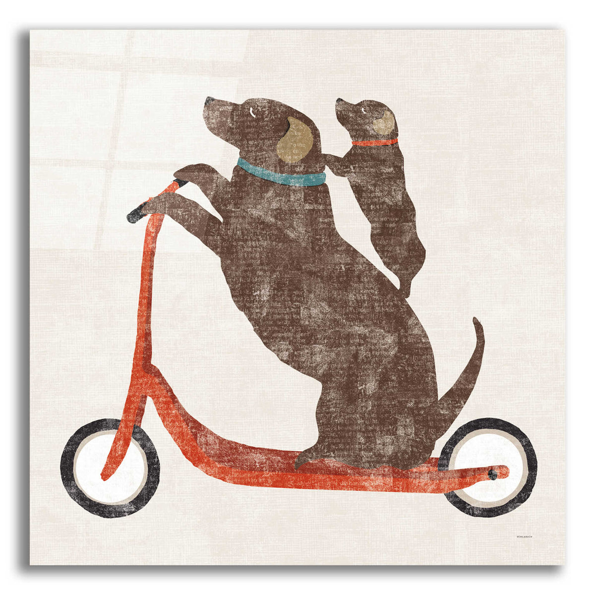 Epic Art 'Lab Scooter Ride' by Sue Schlabach, Acrylic Glass Wall Art