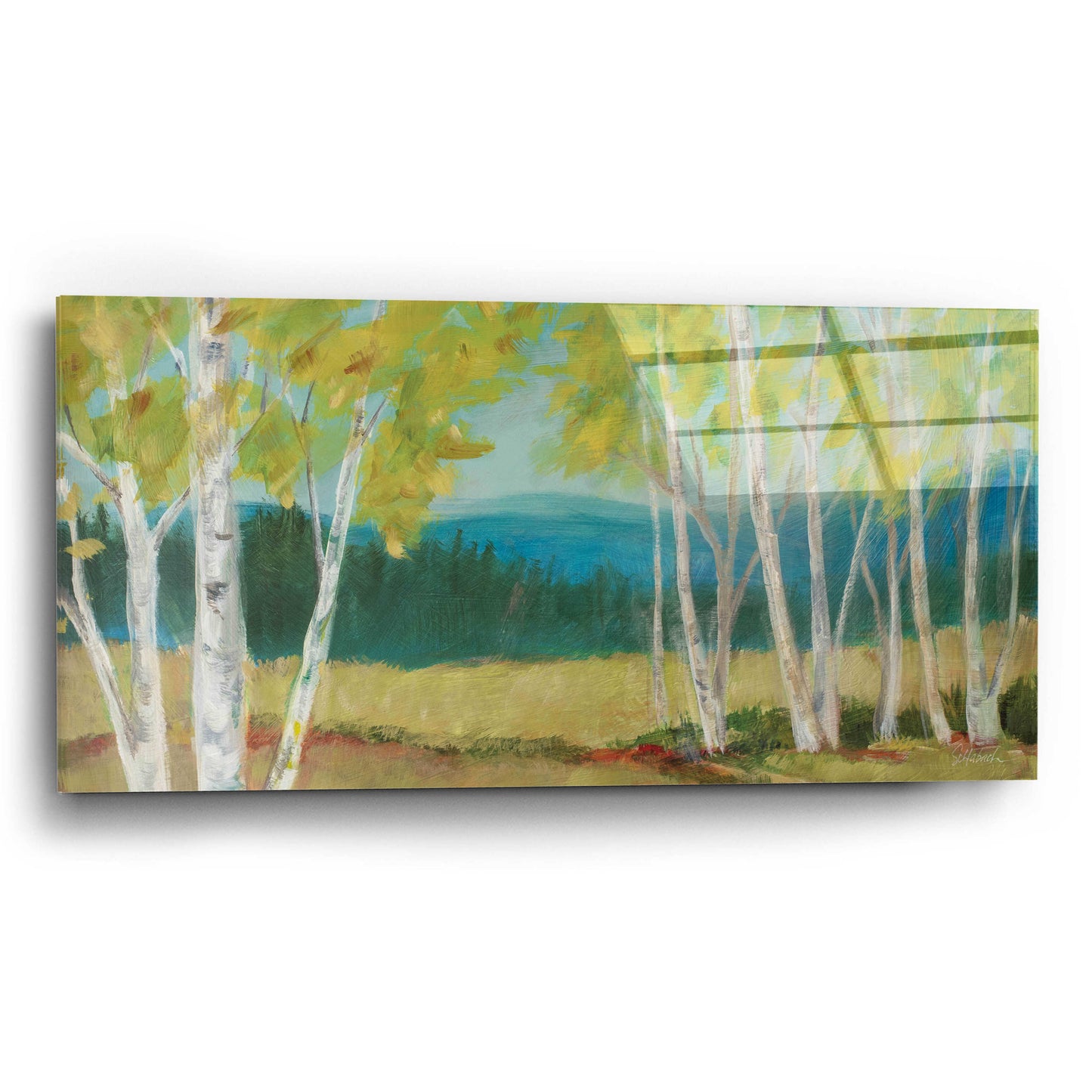 Epic Art 'Birch Road Crop' by Sue Schlabach, Acrylic Glass Wall Art,24x12