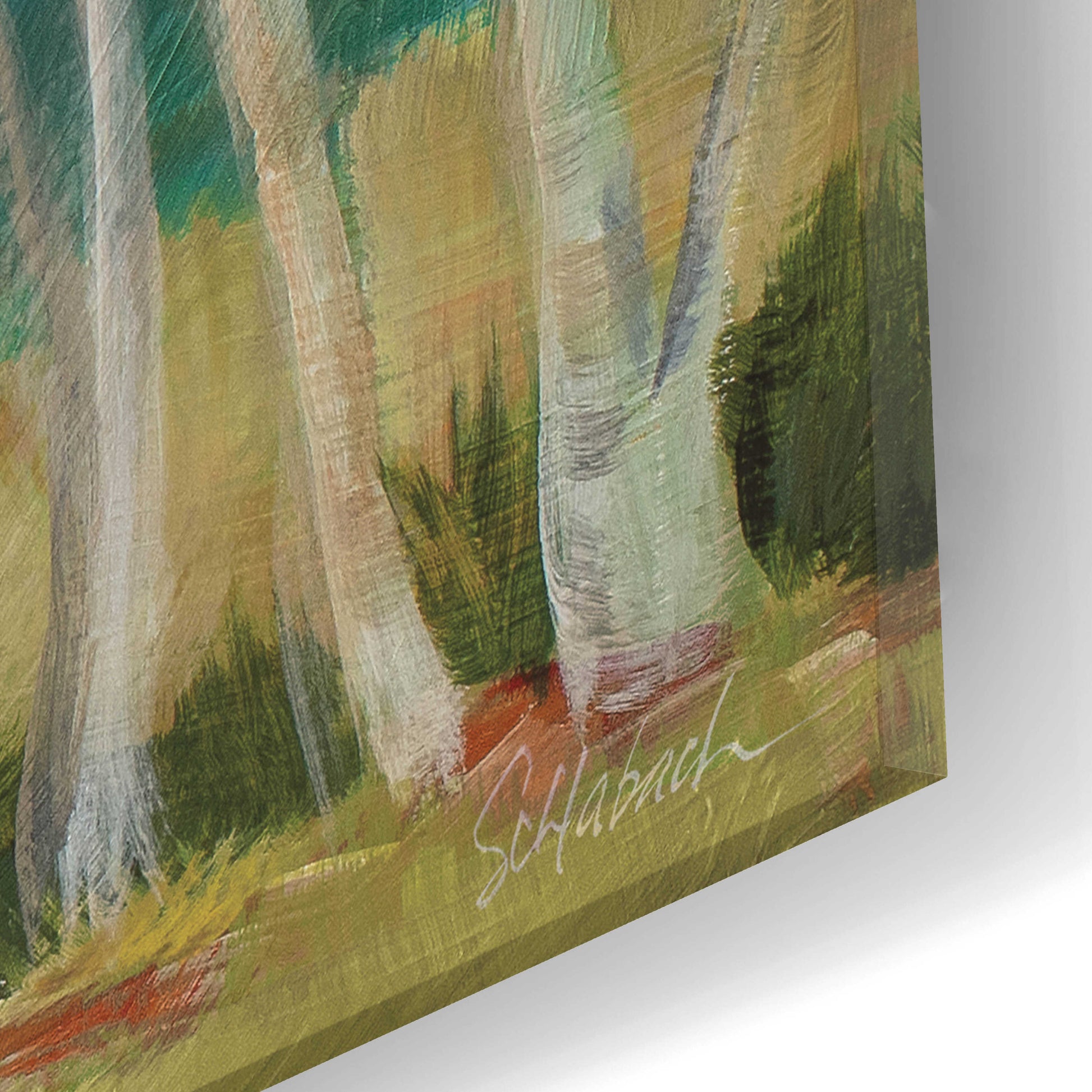 Epic Art 'Birch Road Crop' by Sue Schlabach, Acrylic Glass Wall Art,24x12