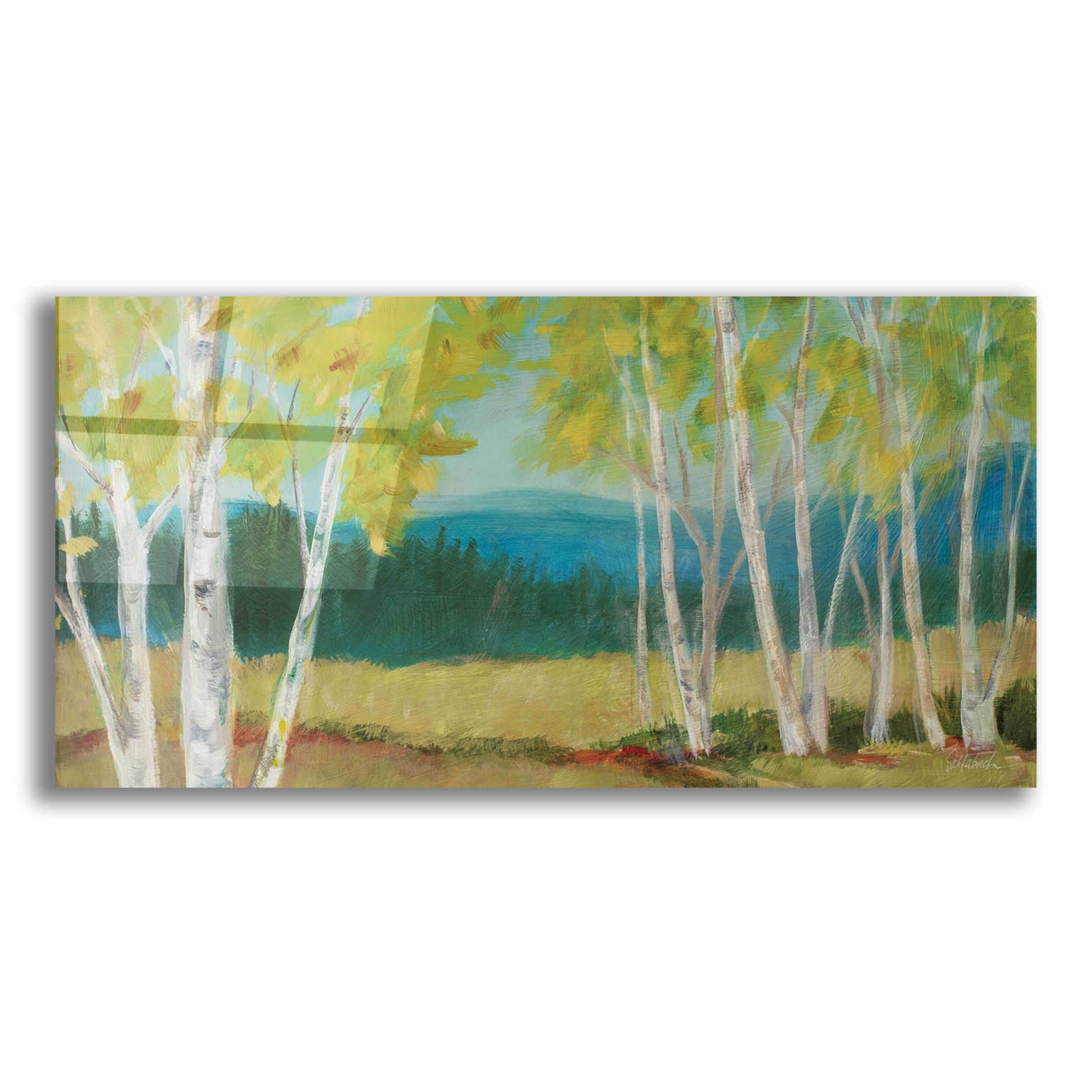 Epic Art 'Birch Road Crop' by Sue Schlabach, Acrylic Glass Wall Art,24x12