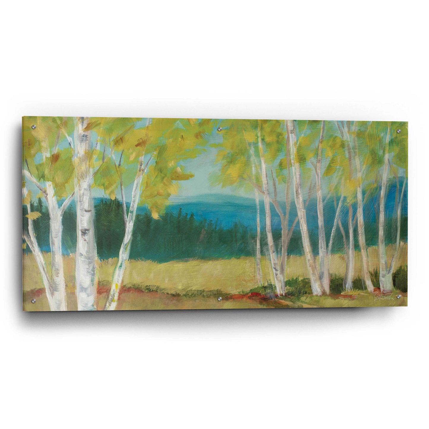 Epic Art 'Birch Road Crop' by Sue Schlabach, Acrylic Glass Wall Art,48x24