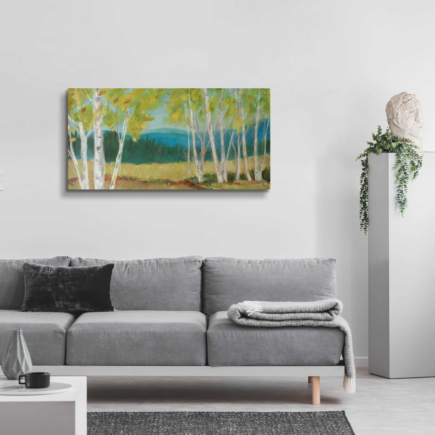 Epic Art 'Birch Road Crop' by Sue Schlabach, Acrylic Glass Wall Art,48x24