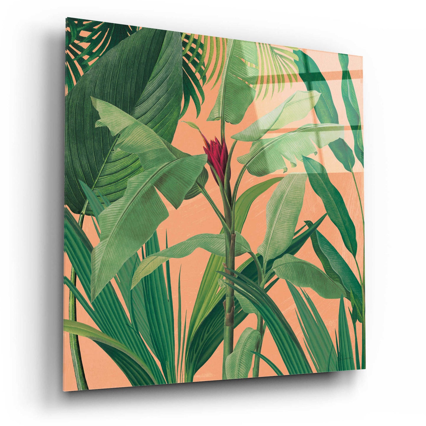 Epic Art 'Dramatic Tropical I Boho' by Sue Schlabach, Acrylic Glass Wall Art,12x12