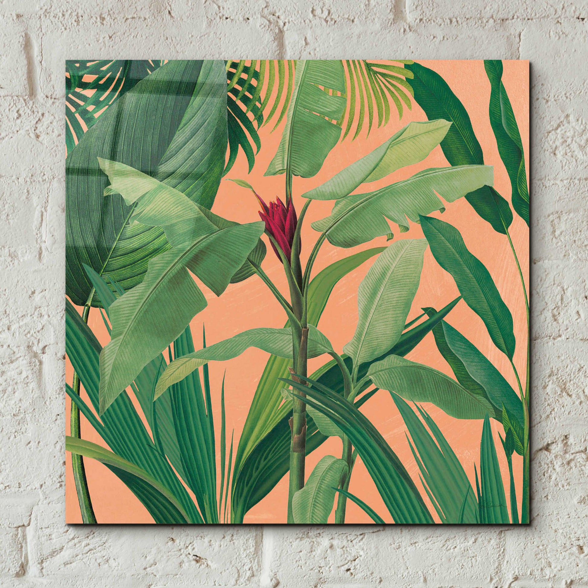 Epic Art 'Dramatic Tropical I Boho' by Sue Schlabach, Acrylic Glass Wall Art,12x12