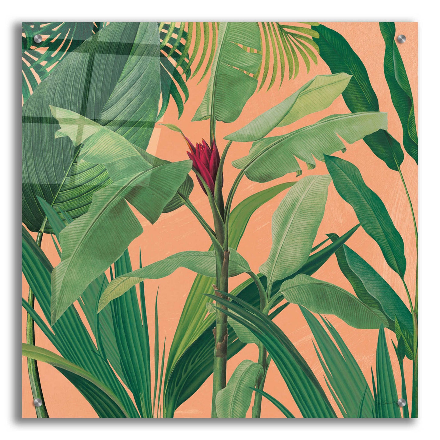 Epic Art 'Dramatic Tropical I Boho' by Sue Schlabach, Acrylic Glass Wall Art,24x24