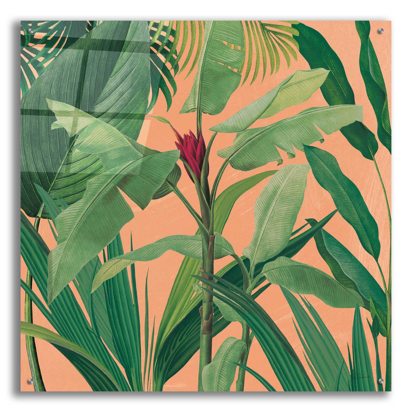 Epic Art 'Dramatic Tropical I Boho' by Sue Schlabach, Acrylic Glass Wall Art,36x36