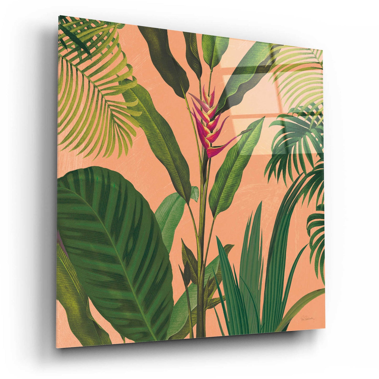 Epic Art 'Dramatic Tropical II Boho' by Sue Schlabach, Acrylic Glass Wall Art,12x12