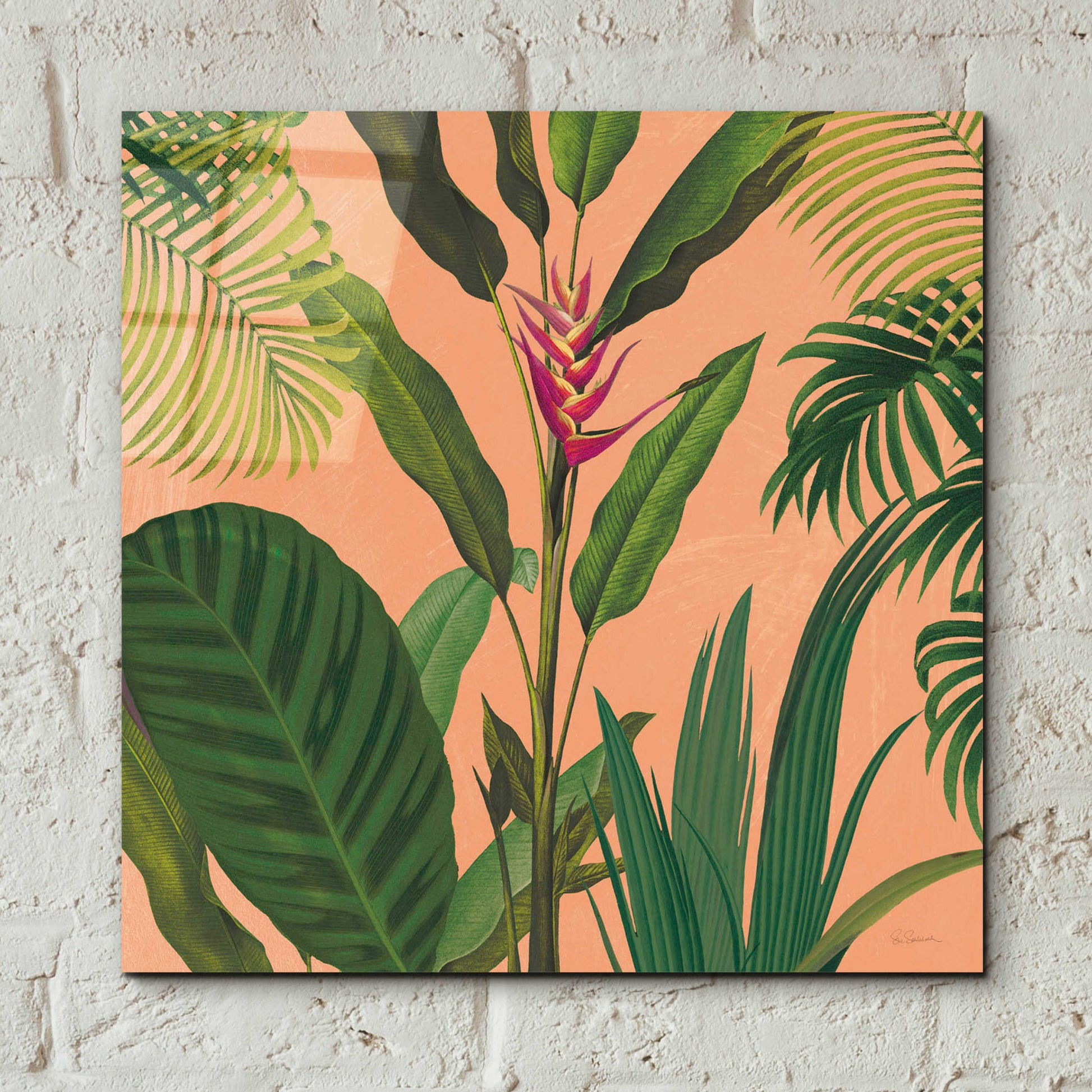 Epic Art 'Dramatic Tropical II Boho' by Sue Schlabach, Acrylic Glass Wall Art,12x12