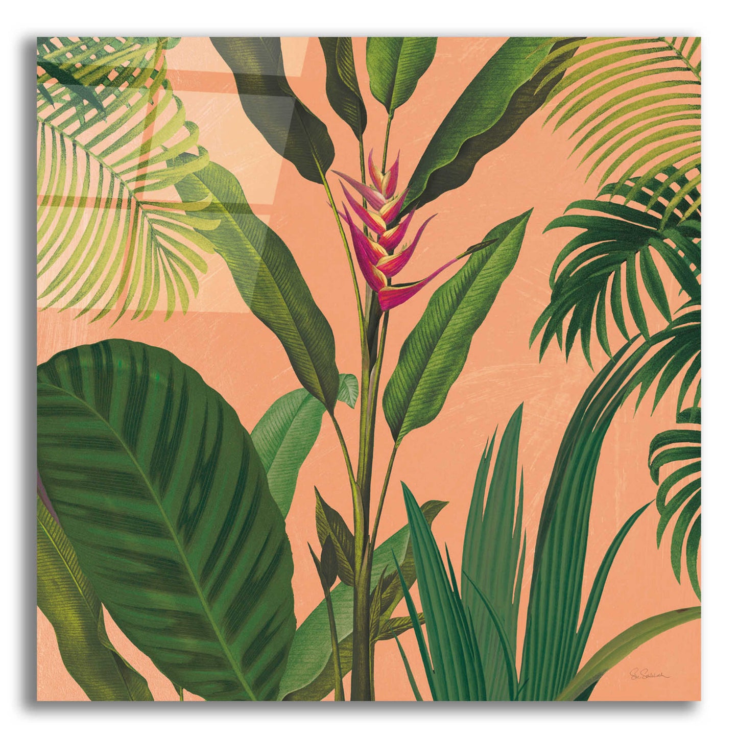 Epic Art 'Dramatic Tropical II Boho' by Sue Schlabach, Acrylic Glass Wall Art,12x12