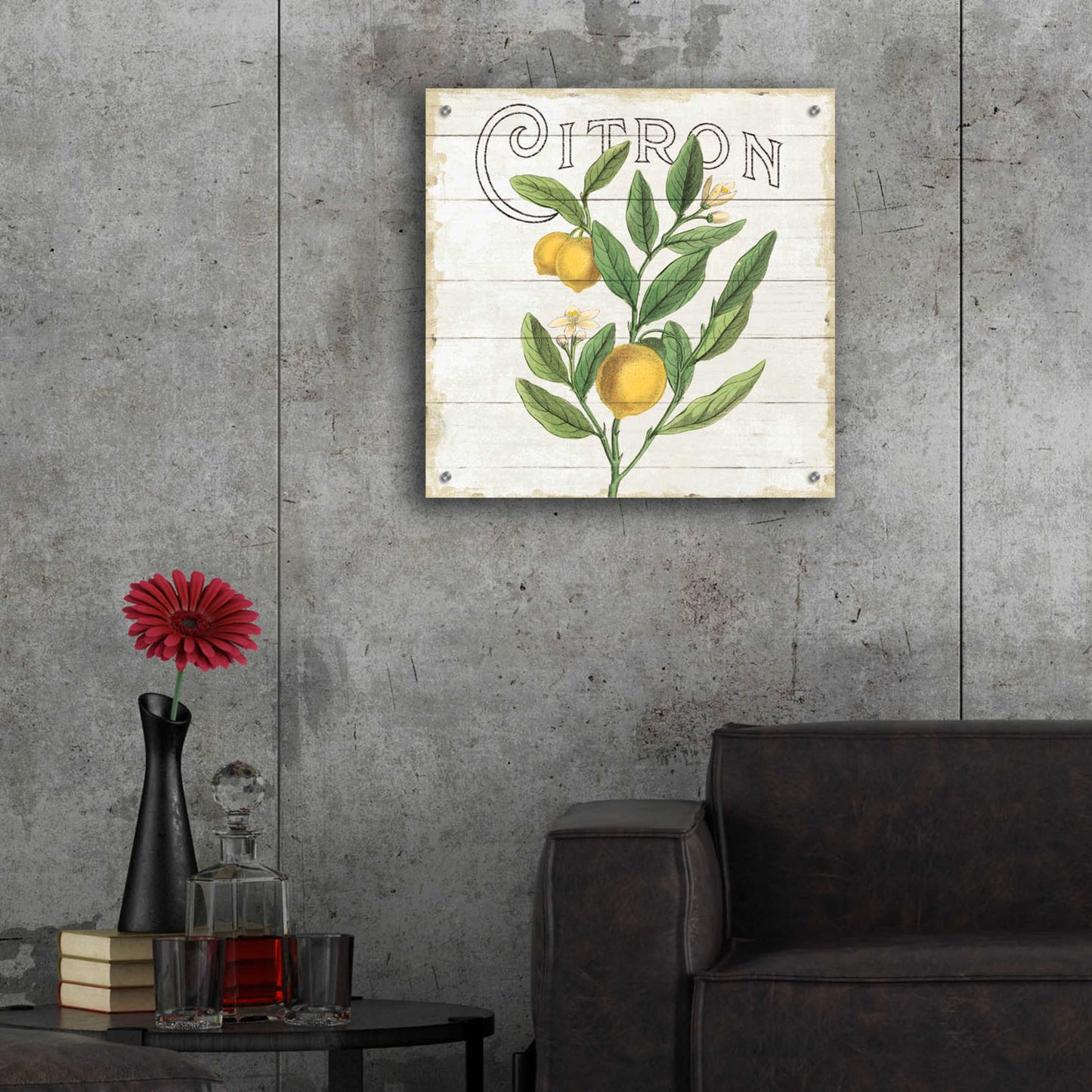 Epic Art 'Classic Citrus V Shiplap Sq' by Sue Schlabach, Acrylic Glass Wall Art,24x24