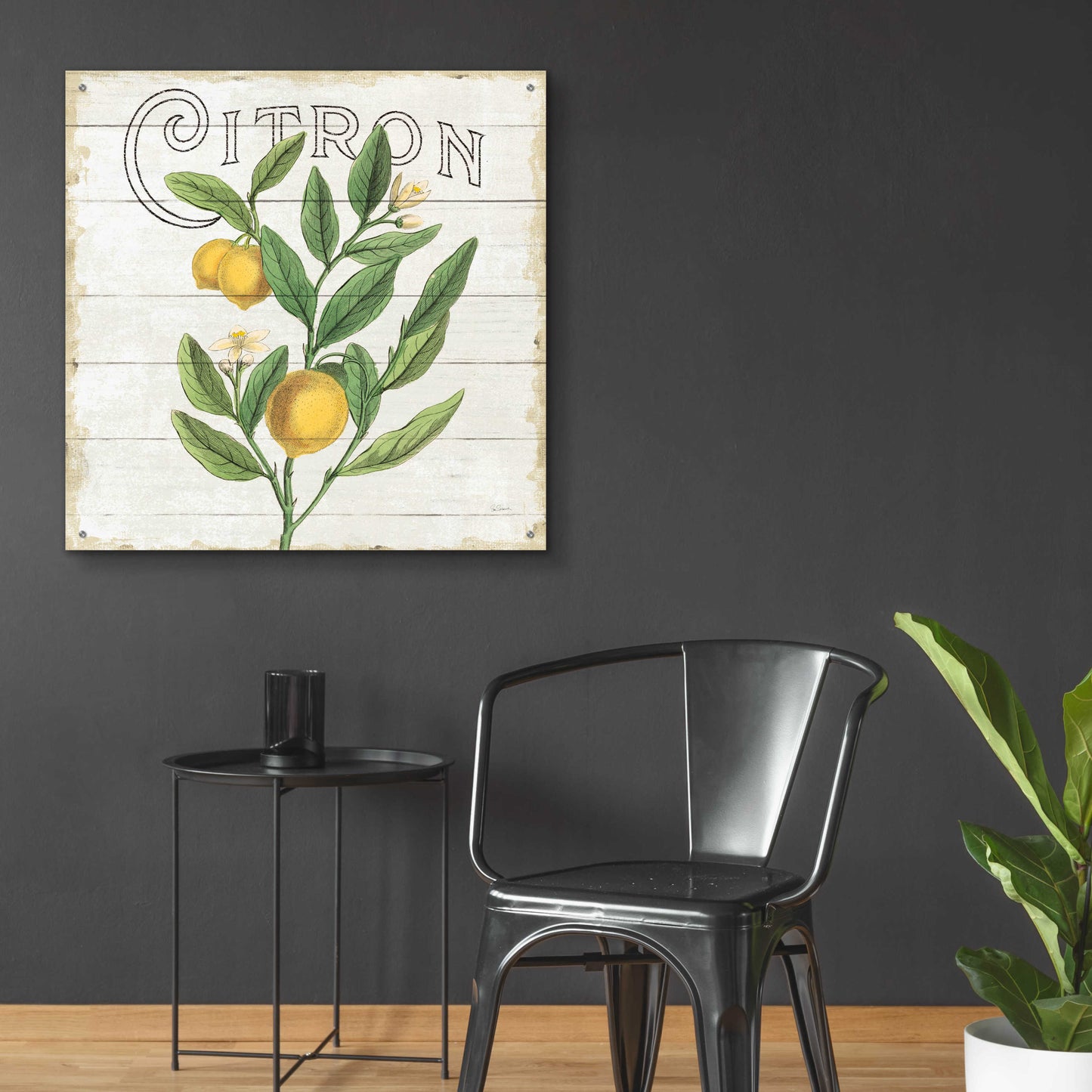 Epic Art 'Classic Citrus V Shiplap Sq' by Sue Schlabach, Acrylic Glass Wall Art,36x36