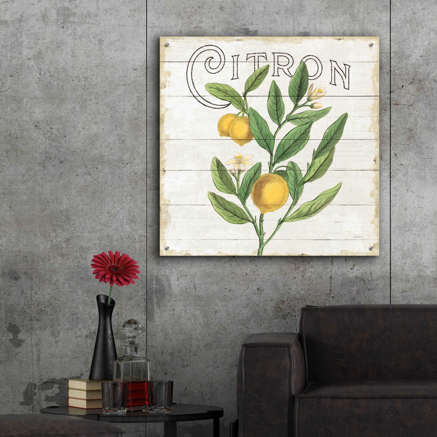 Epic Art 'Classic Citrus V Shiplap Sq' by Sue Schlabach, Acrylic Glass Wall Art,36x36