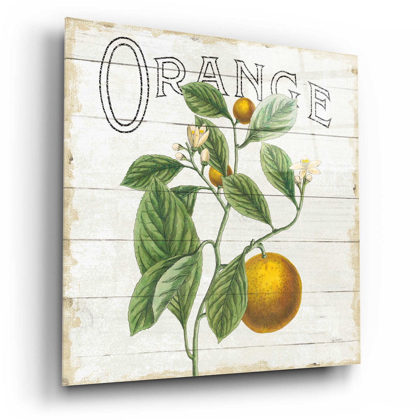 Epic Art 'Classic Citrus VI Shiplap Sq' by Sue Schlabach, Acrylic Glass Wall Art,12x12