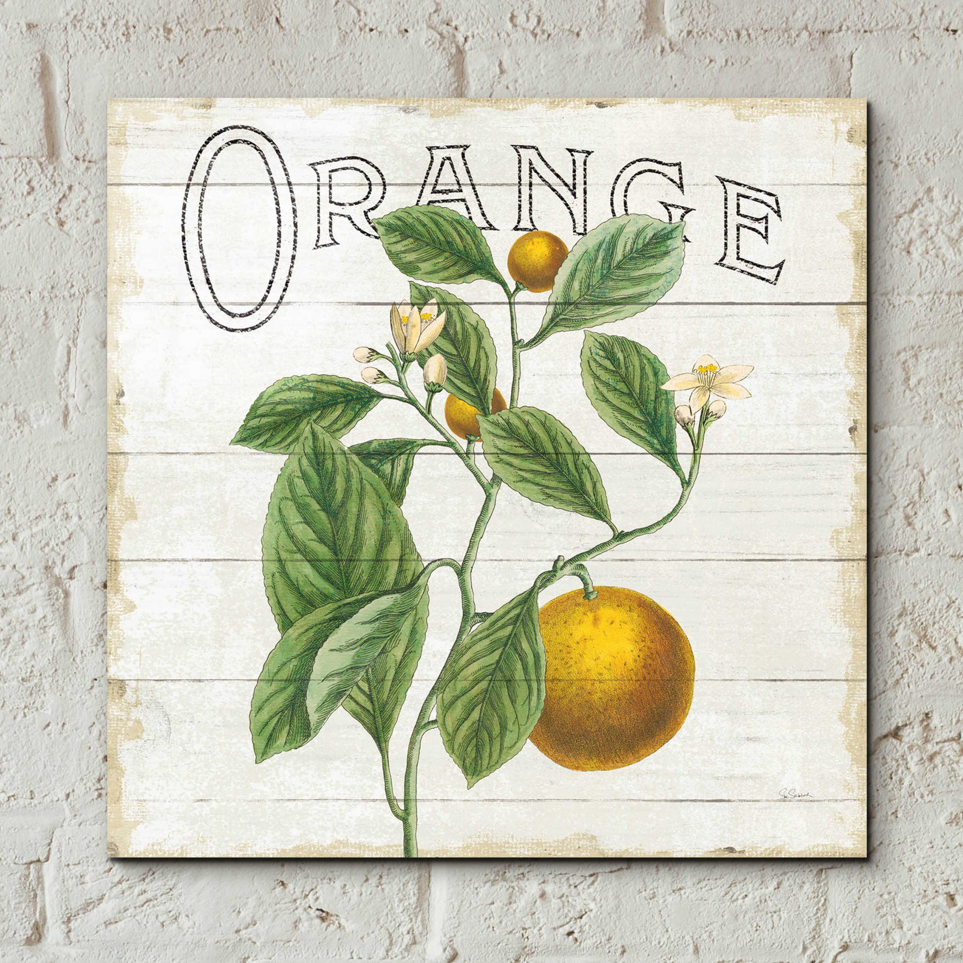 Epic Art 'Classic Citrus VI Shiplap Sq' by Sue Schlabach, Acrylic Glass Wall Art,12x12