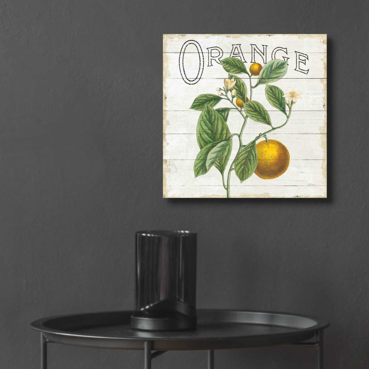 Epic Art 'Classic Citrus VI Shiplap Sq' by Sue Schlabach, Acrylic Glass Wall Art,12x12