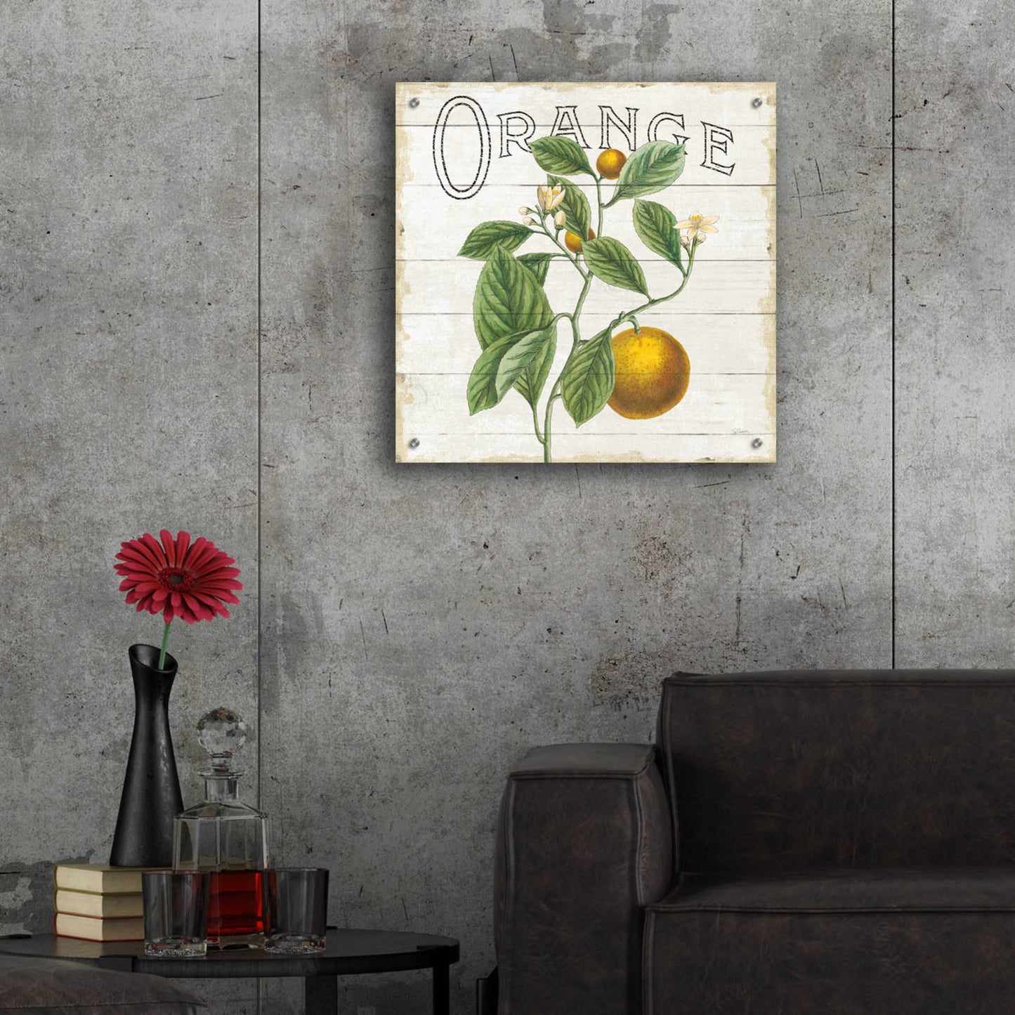 Epic Art 'Classic Citrus VI Shiplap Sq' by Sue Schlabach, Acrylic Glass Wall Art,24x24