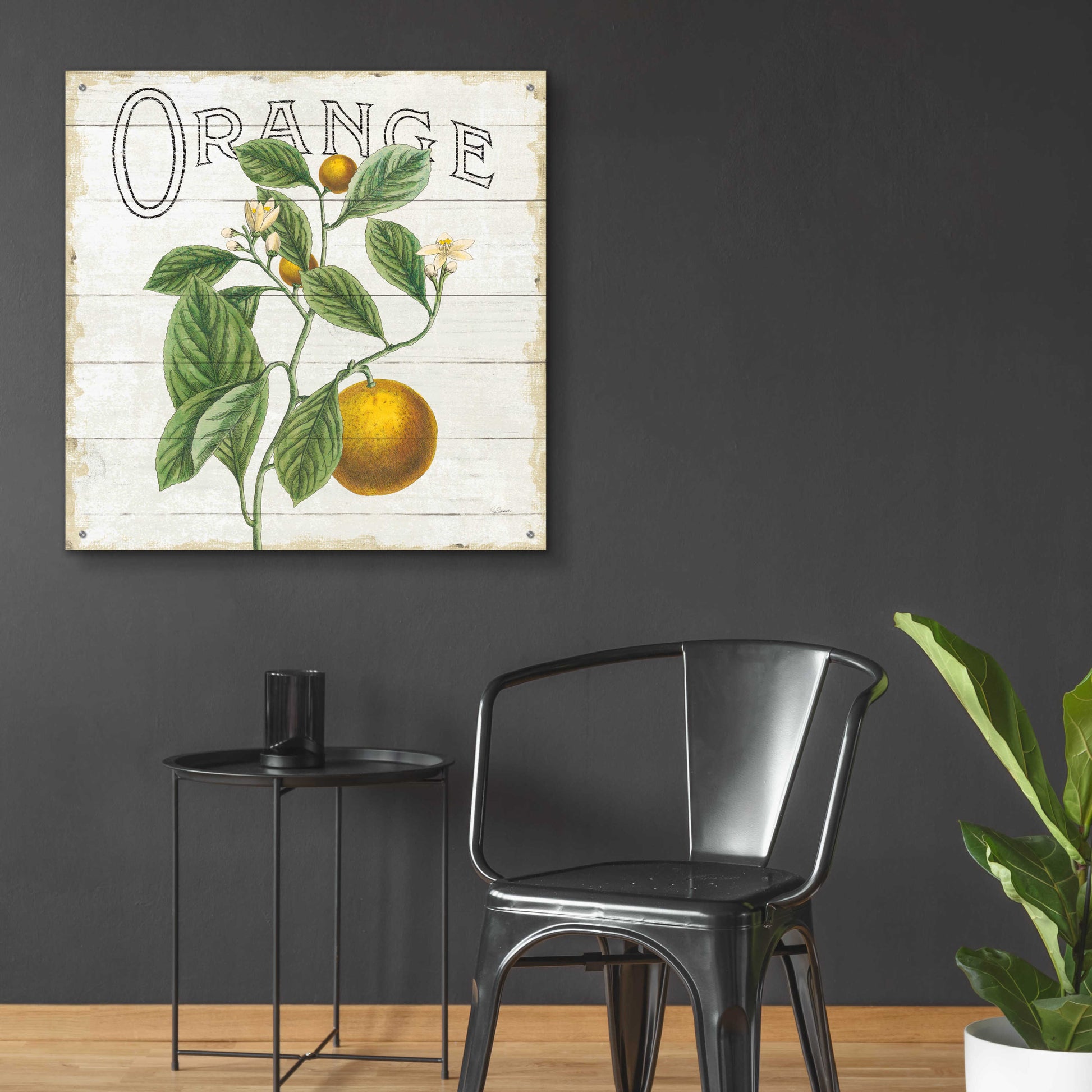 Epic Art 'Classic Citrus VI Shiplap Sq' by Sue Schlabach, Acrylic Glass Wall Art,36x36