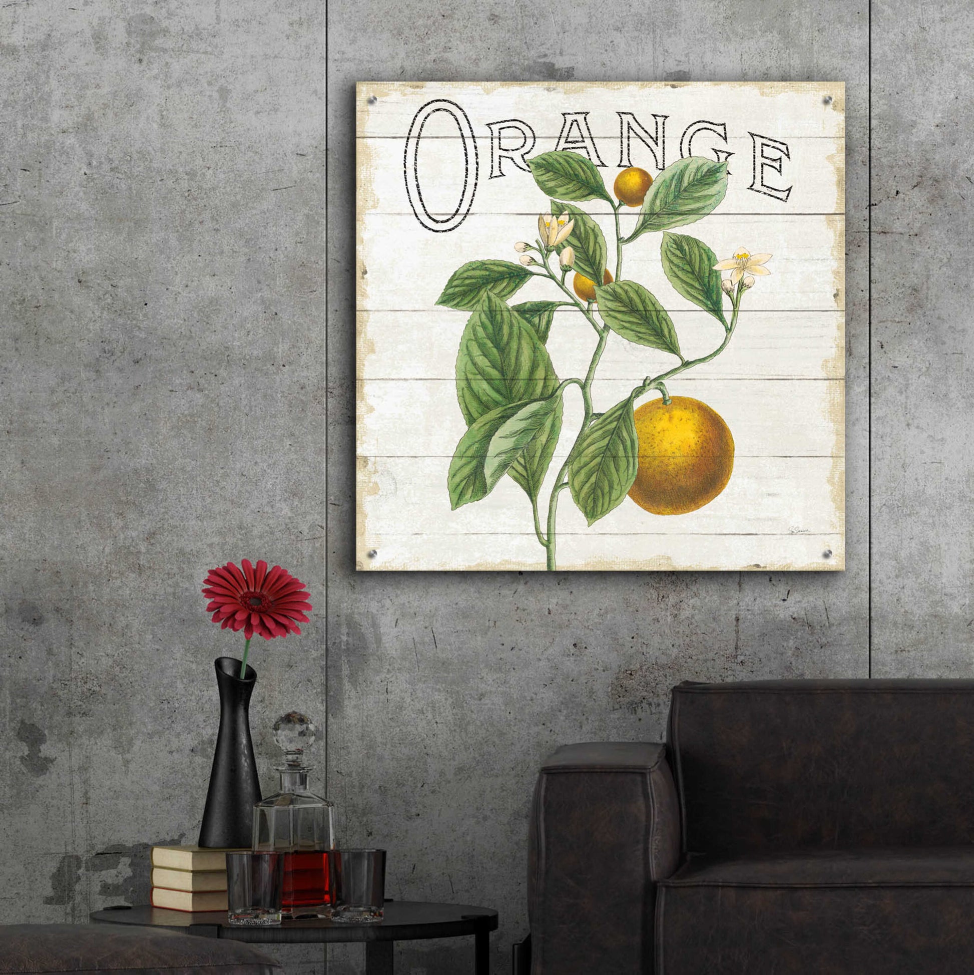 Epic Art 'Classic Citrus VI Shiplap Sq' by Sue Schlabach, Acrylic Glass Wall Art,36x36