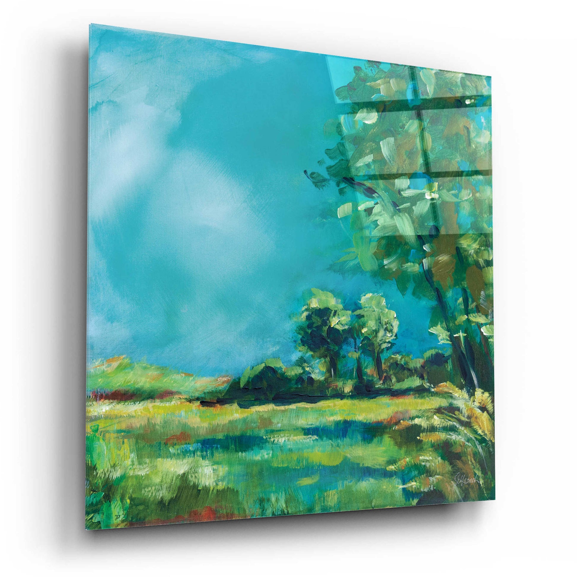 Epic Art 'July Meadow' by Sue Schlabach, Acrylic Glass Wall Art,12x12