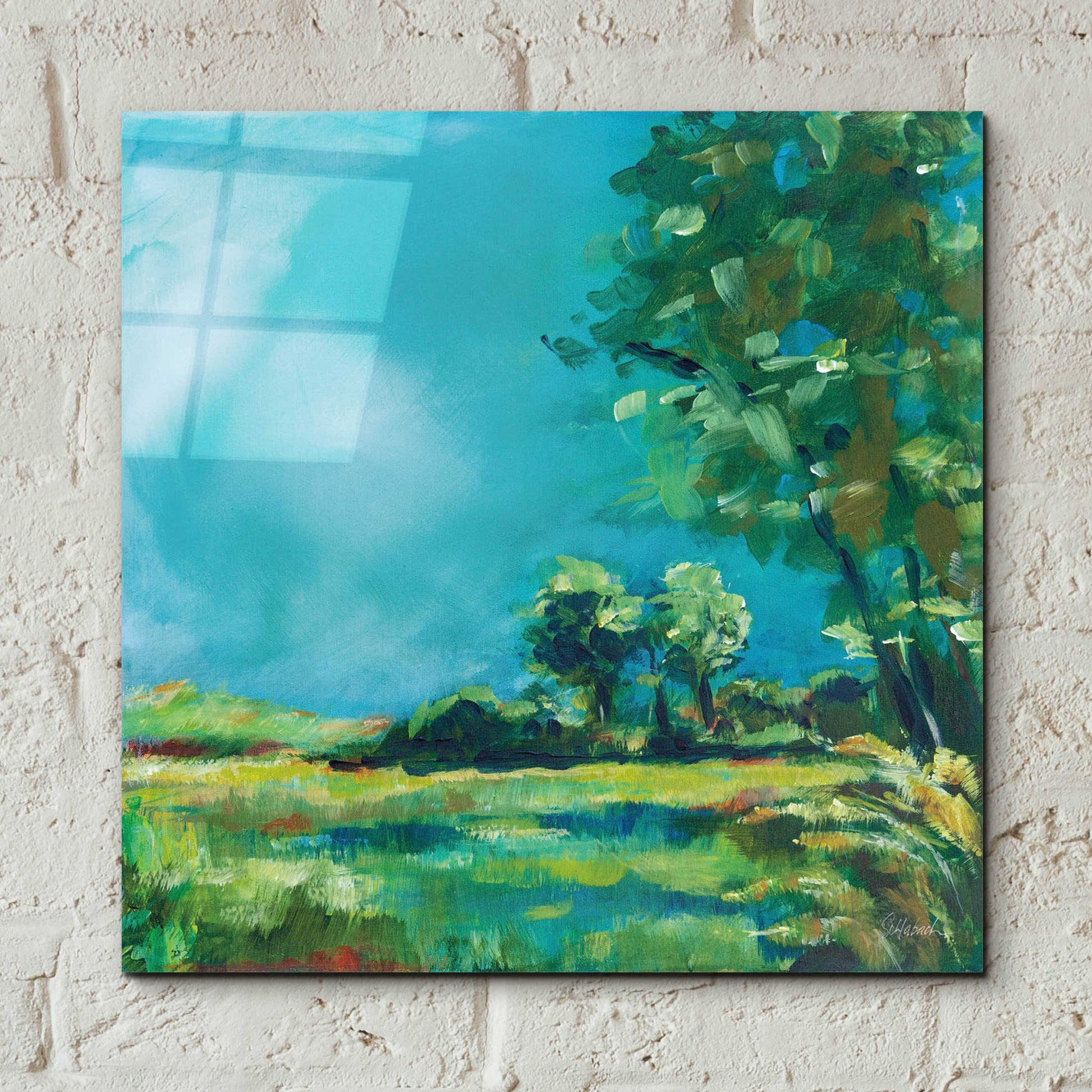 Epic Art 'July Meadow' by Sue Schlabach, Acrylic Glass Wall Art,12x12