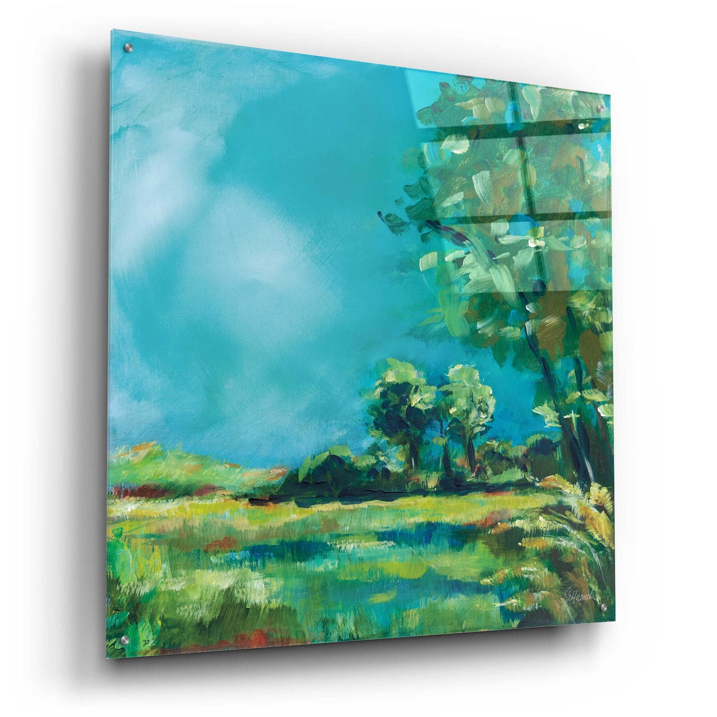 Epic Art 'July Meadow' by Sue Schlabach, Acrylic Glass Wall Art,36x36