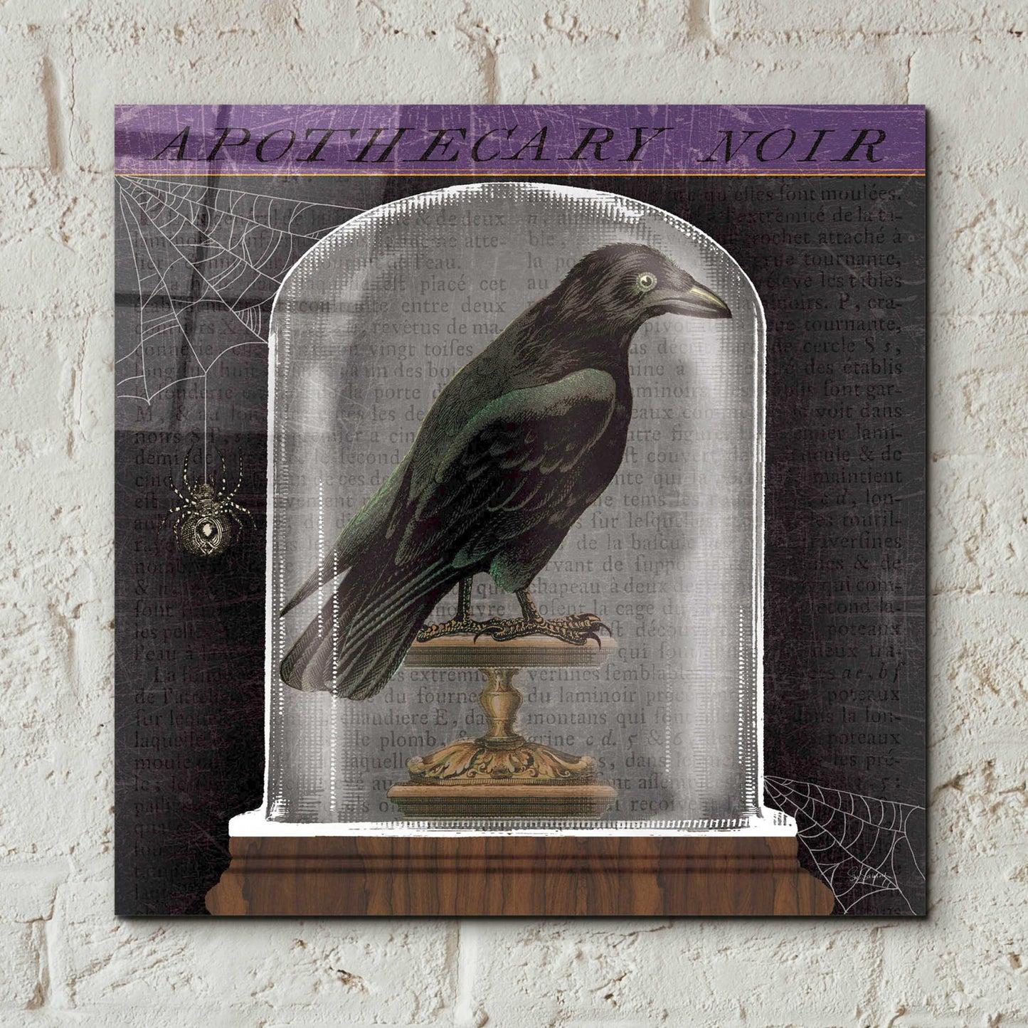 Epic Art 'Apothecary Noir I' by Sue Schlabach, Acrylic Glass Wall Art,12x12