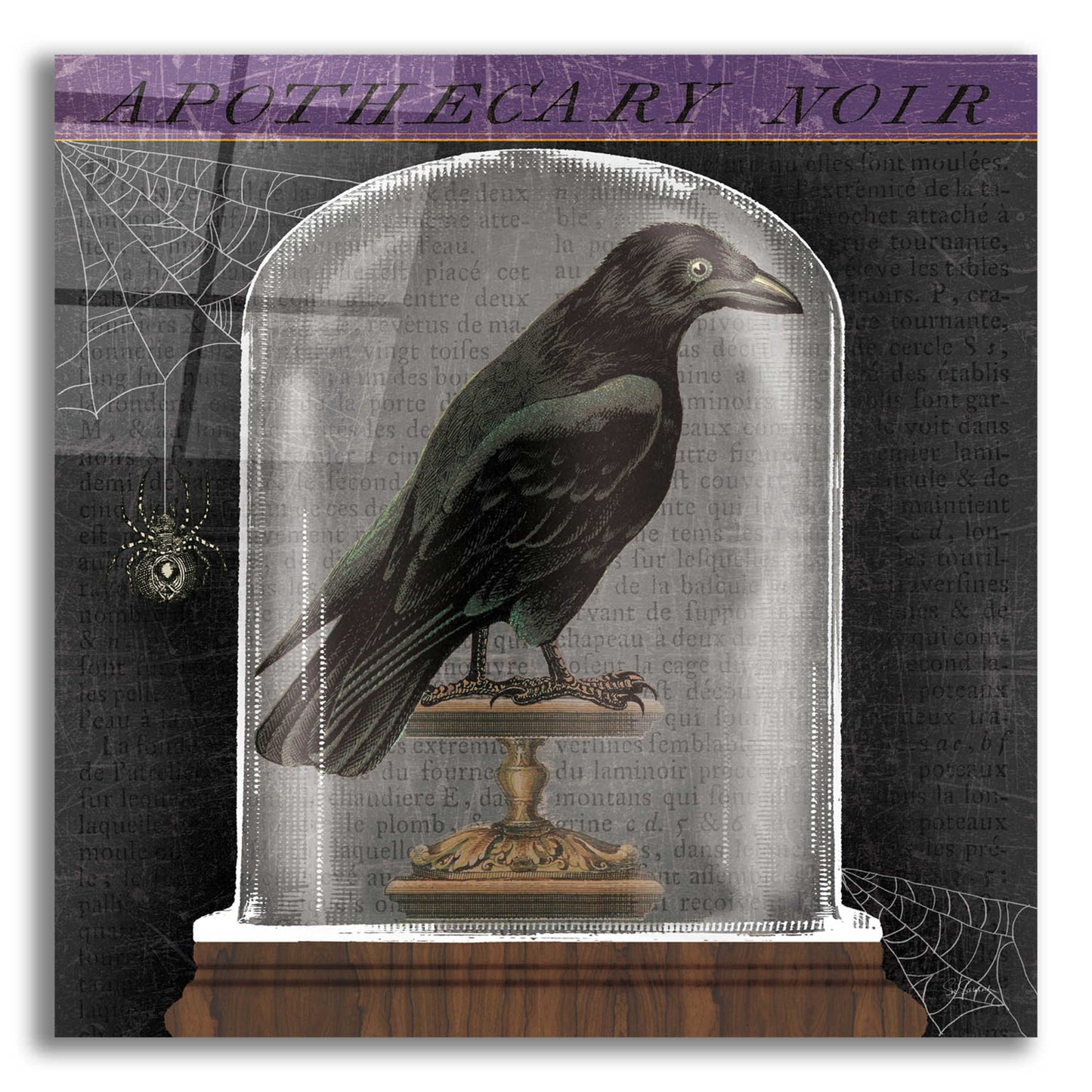 Epic Art 'Apothecary Noir I' by Sue Schlabach, Acrylic Glass Wall Art