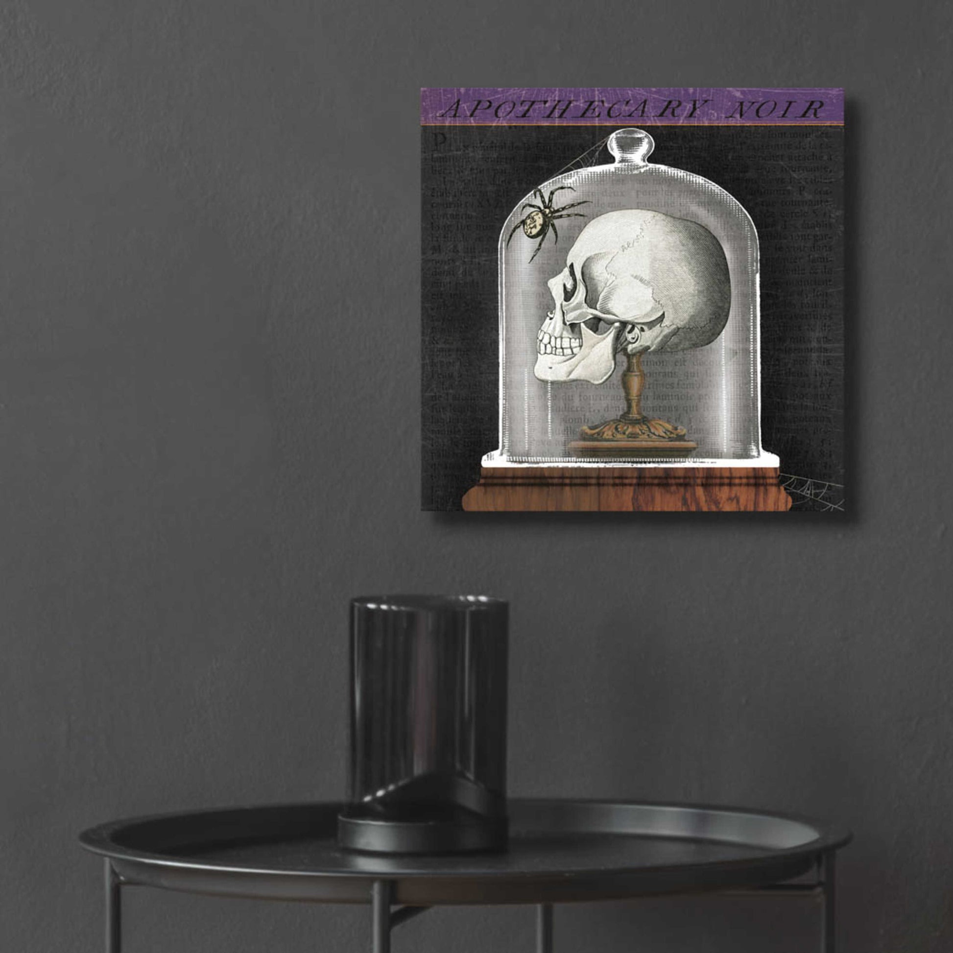 Epic Art 'Apothecary Noir II' by Sue Schlabach, Acrylic Glass Wall Art,12x12