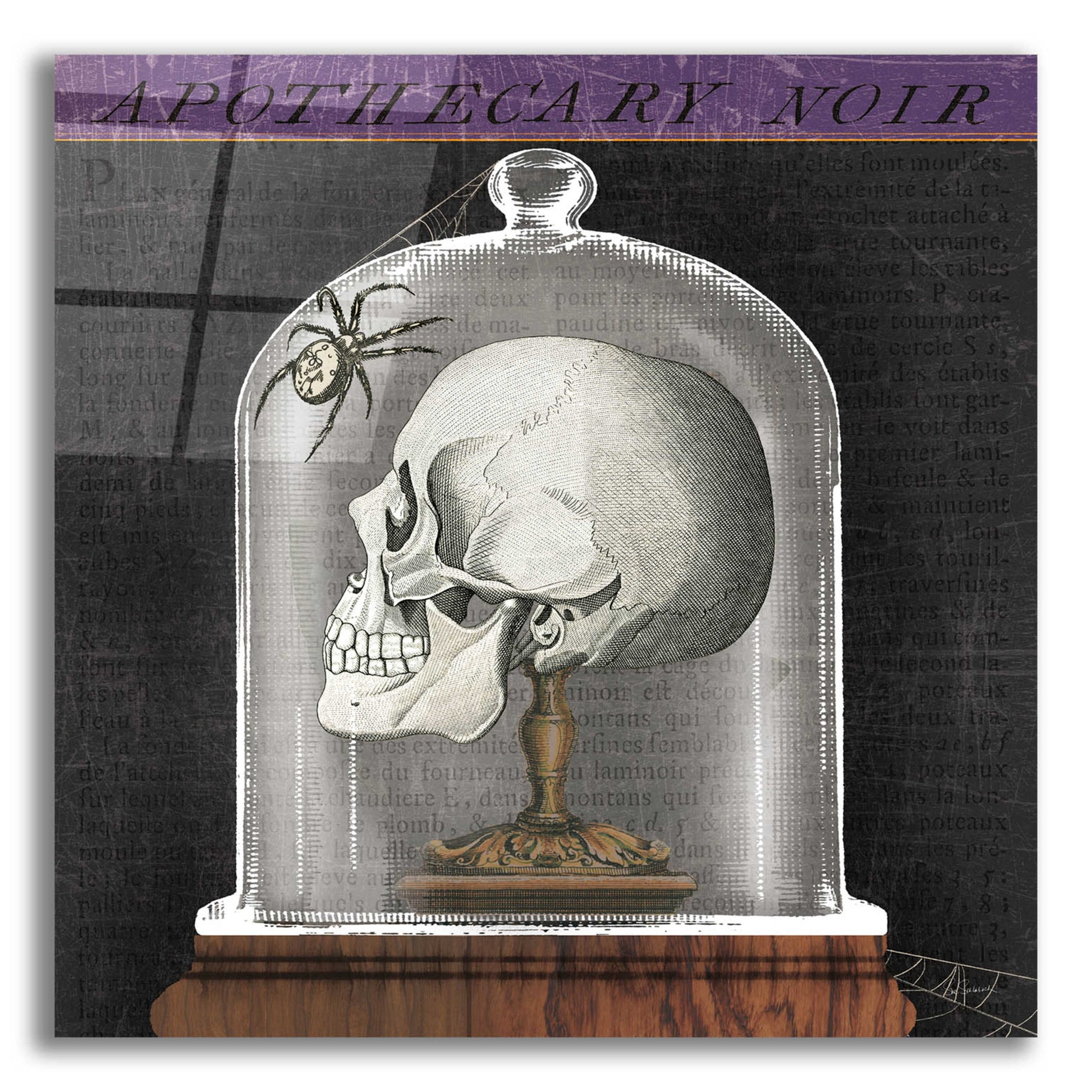 Epic Art 'Apothecary Noir II' by Sue Schlabach, Acrylic Glass Wall Art