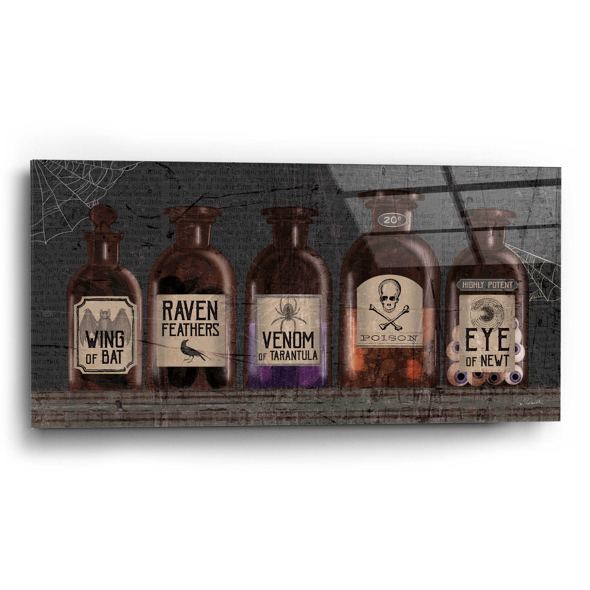 Epic Art 'Apothecary Noir VI' by Sue Schlabach, Acrylic Glass Wall Art,24x12