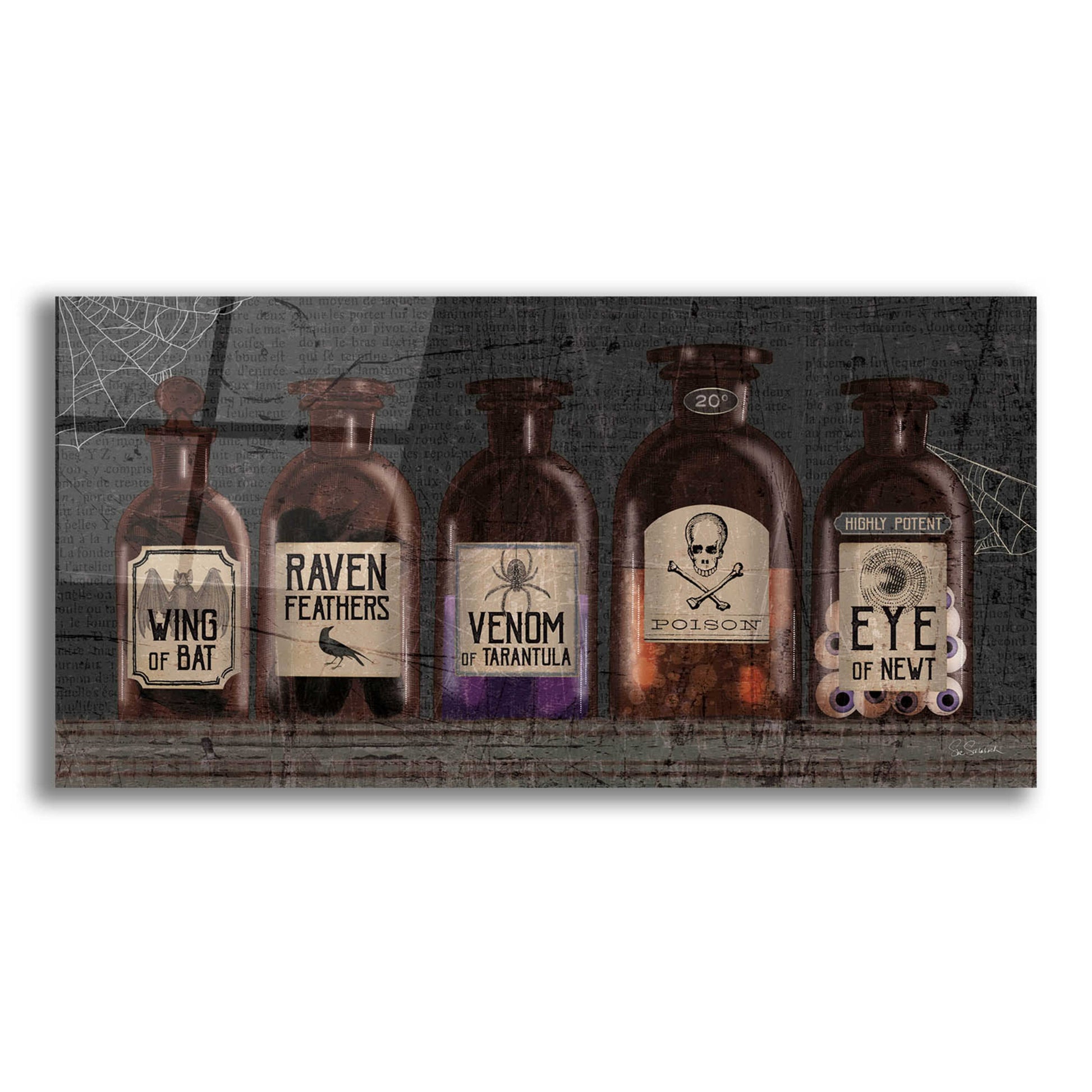 Epic Art 'Apothecary Noir VI' by Sue Schlabach, Acrylic Glass Wall Art,24x12