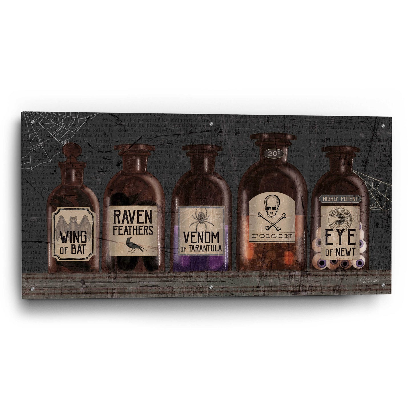 Epic Art 'Apothecary Noir VI' by Sue Schlabach, Acrylic Glass Wall Art,48x24