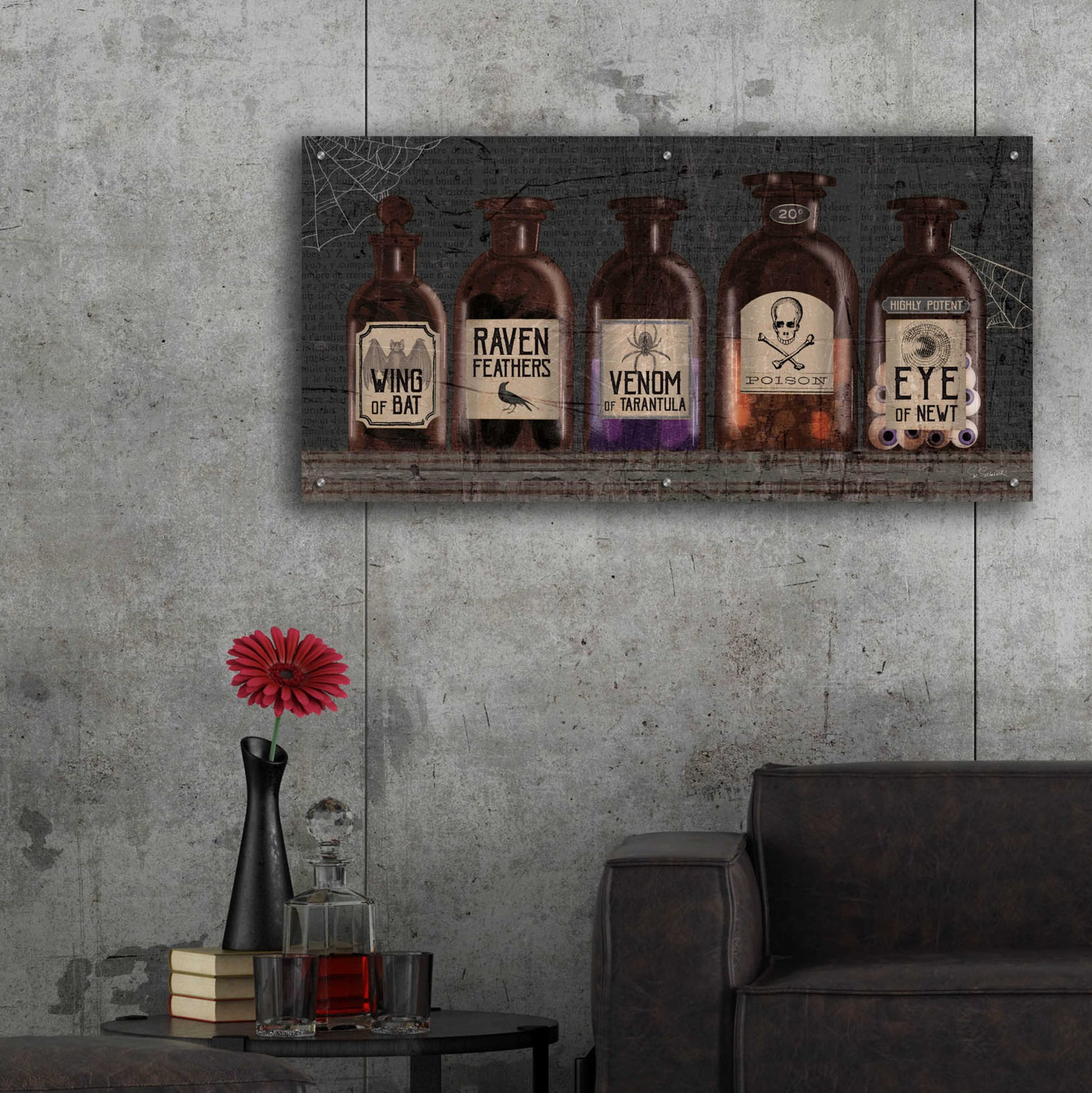 Epic Art 'Apothecary Noir VI' by Sue Schlabach, Acrylic Glass Wall Art,48x24