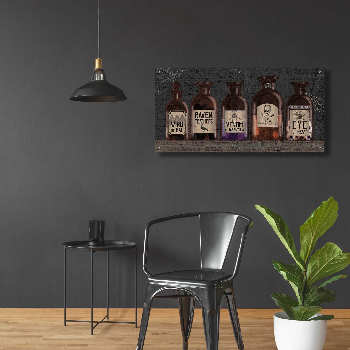 Epic Art 'Apothecary Noir VI' by Sue Schlabach, Acrylic Glass Wall Art,48x24