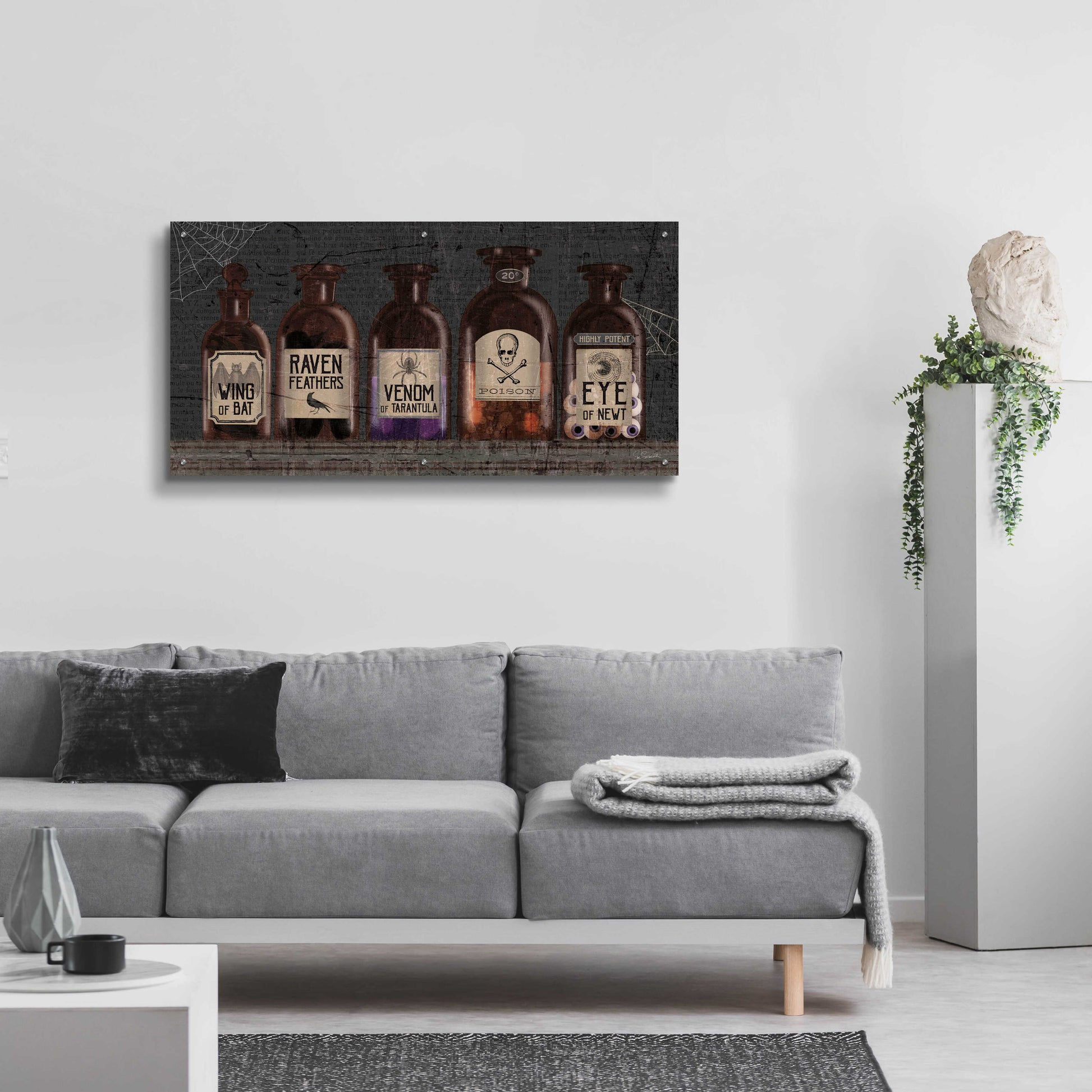 Epic Art 'Apothecary Noir VI' by Sue Schlabach, Acrylic Glass Wall Art,48x24