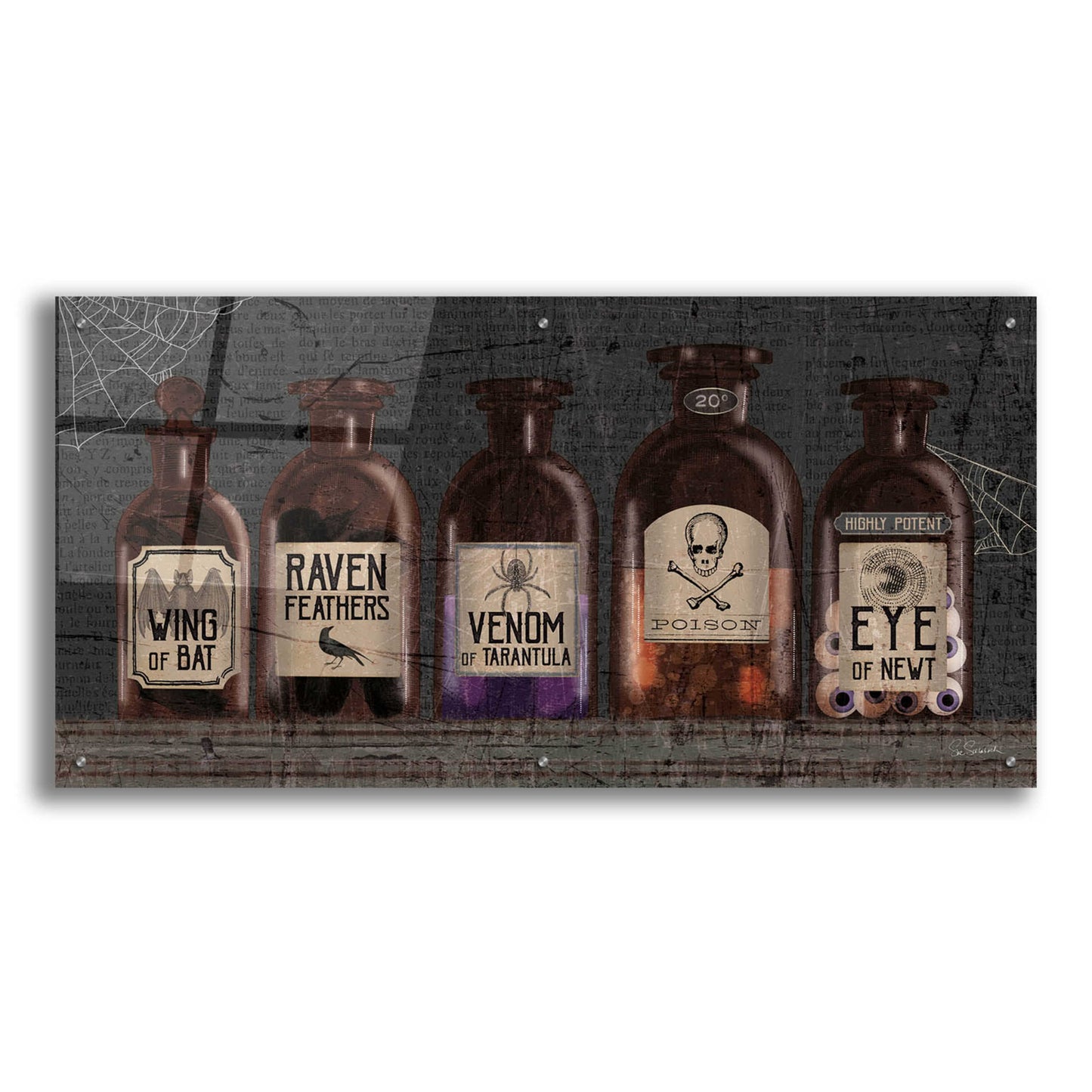 Epic Art 'Apothecary Noir VI' by Sue Schlabach, Acrylic Glass Wall Art,48x24