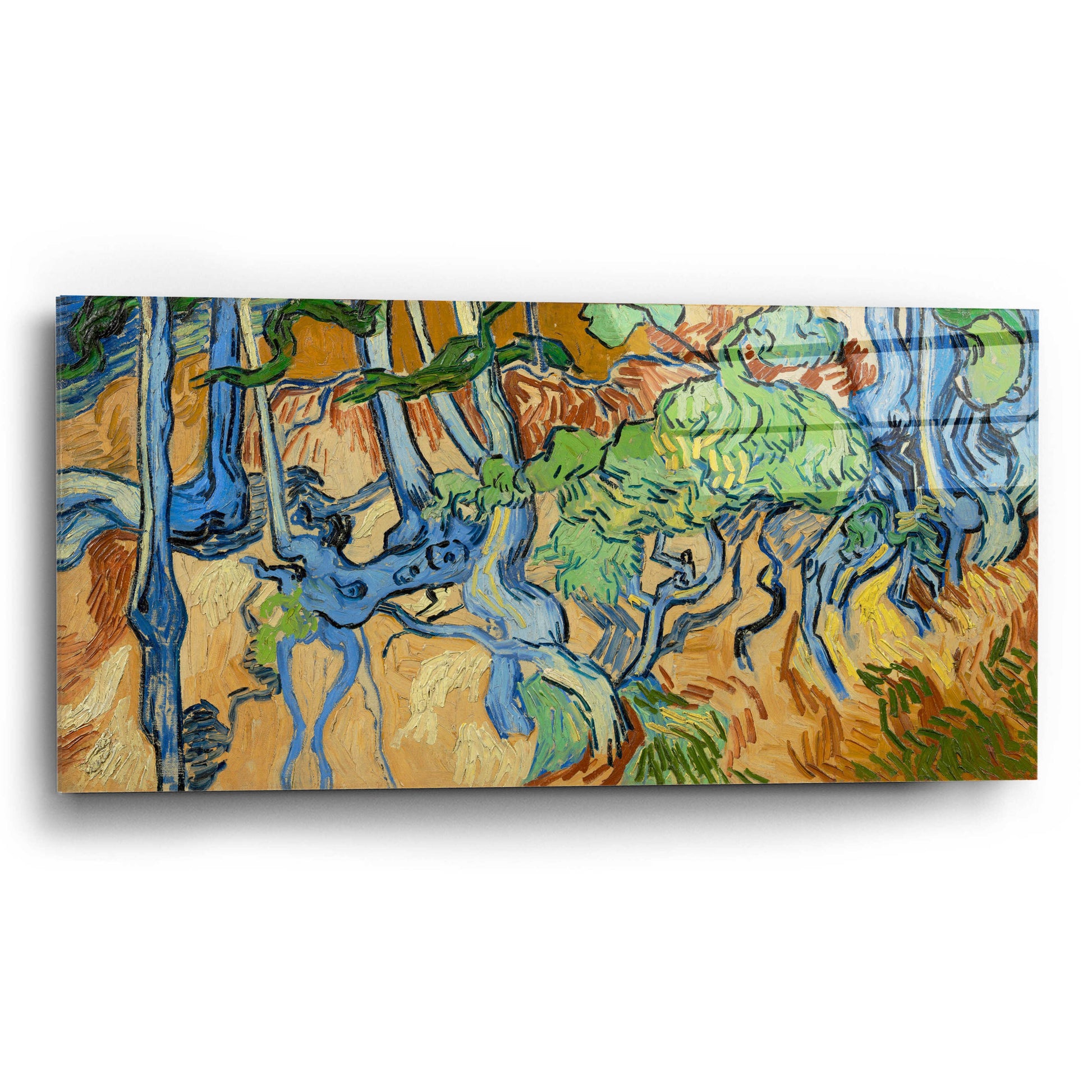 Epic Art 'Tree Roots' by Vincent Van Gogh, Acrylic Glass Wall Art,24x12