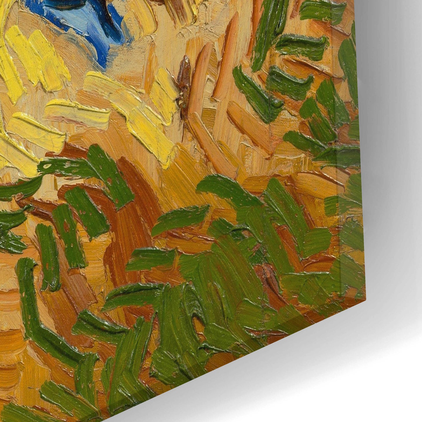 Epic Art 'Tree Roots' by Vincent Van Gogh, Acrylic Glass Wall Art,24x12