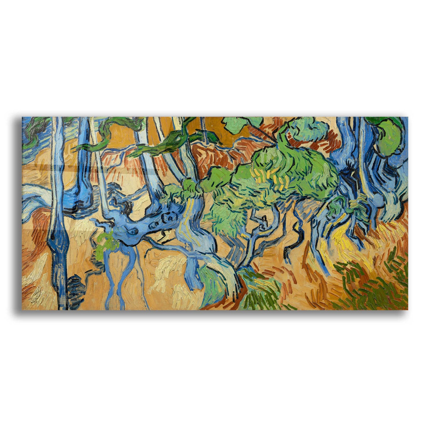 Epic Art 'Tree Roots' by Vincent Van Gogh, Acrylic Glass Wall Art,24x12