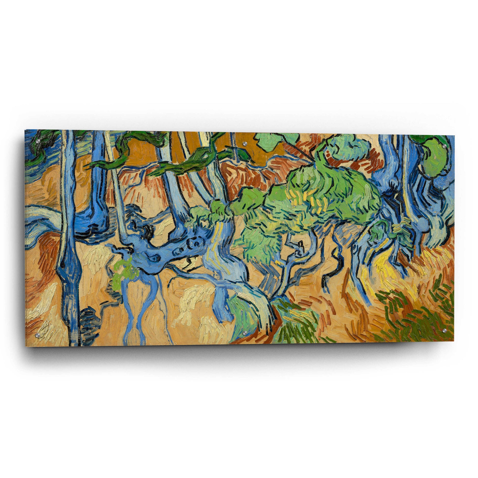 Epic Art 'Tree Roots' by Vincent Van Gogh, Acrylic Glass Wall Art,48x24