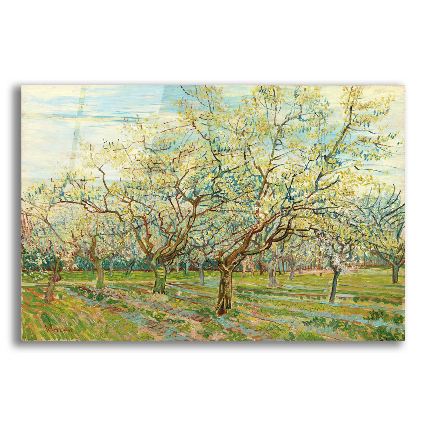 Epic Art 'The White Orchard' by Vincent Van Gogh, Acrylic Glass Wall Art,16x12