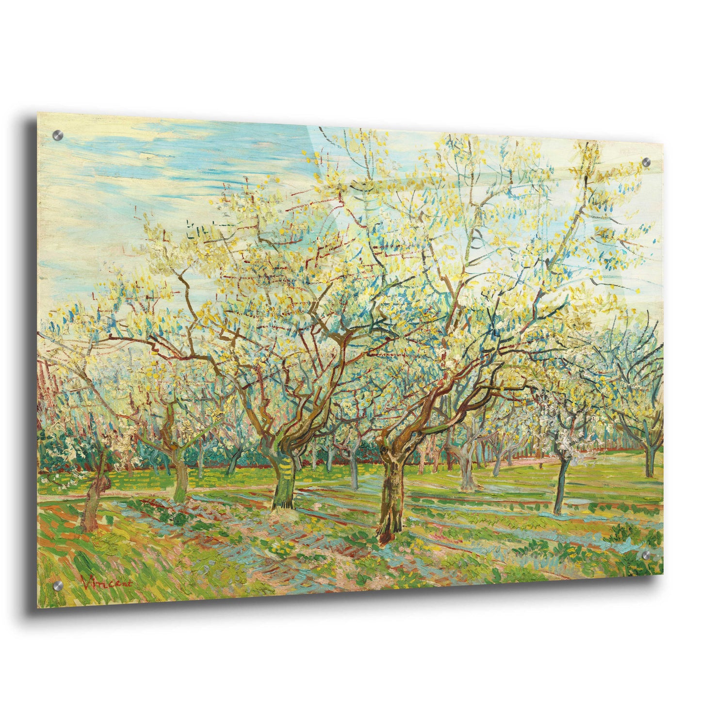 Epic Art 'The White Orchard' by Vincent Van Gogh, Acrylic Glass Wall Art,36x24