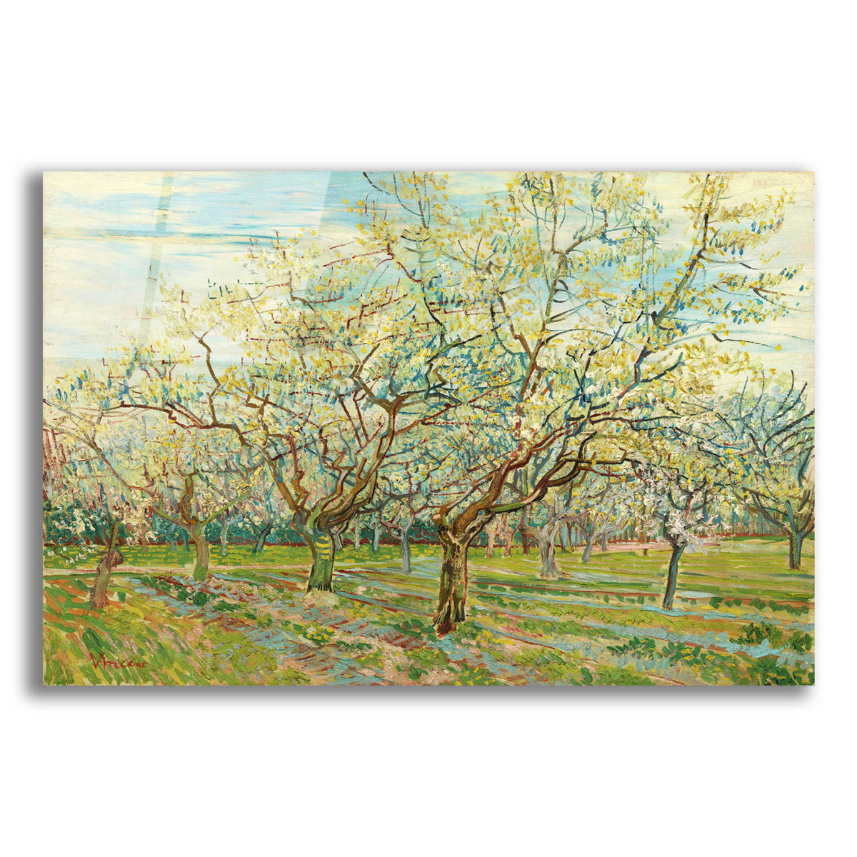 Epic Art 'The White Orchard' by Vincent Van Gogh, Acrylic Glass Wall Art