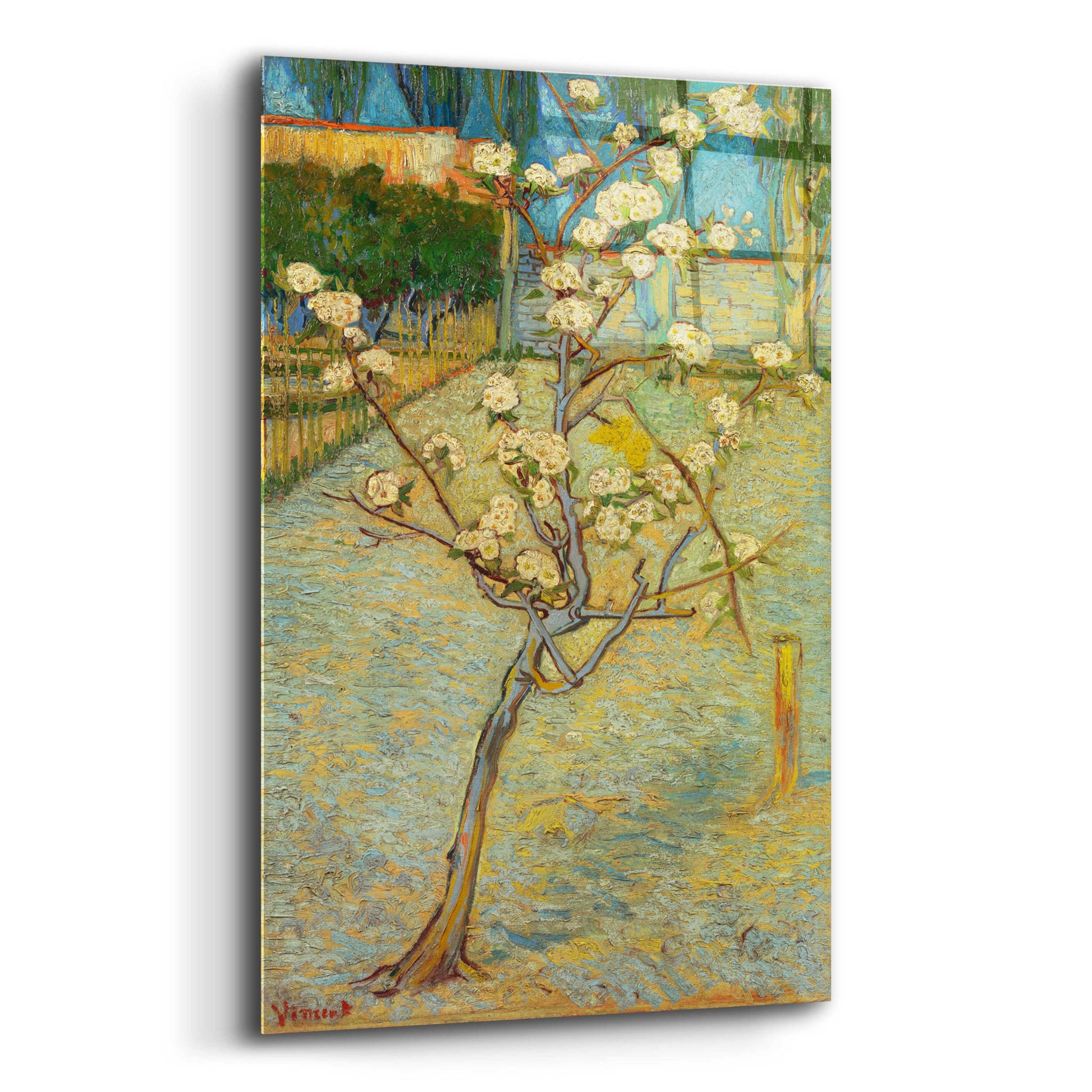 Epic Art 'Small Pear Tree In Blossom' by Vincent Van Gogh, Acrylic Glass Wall Art,12x16