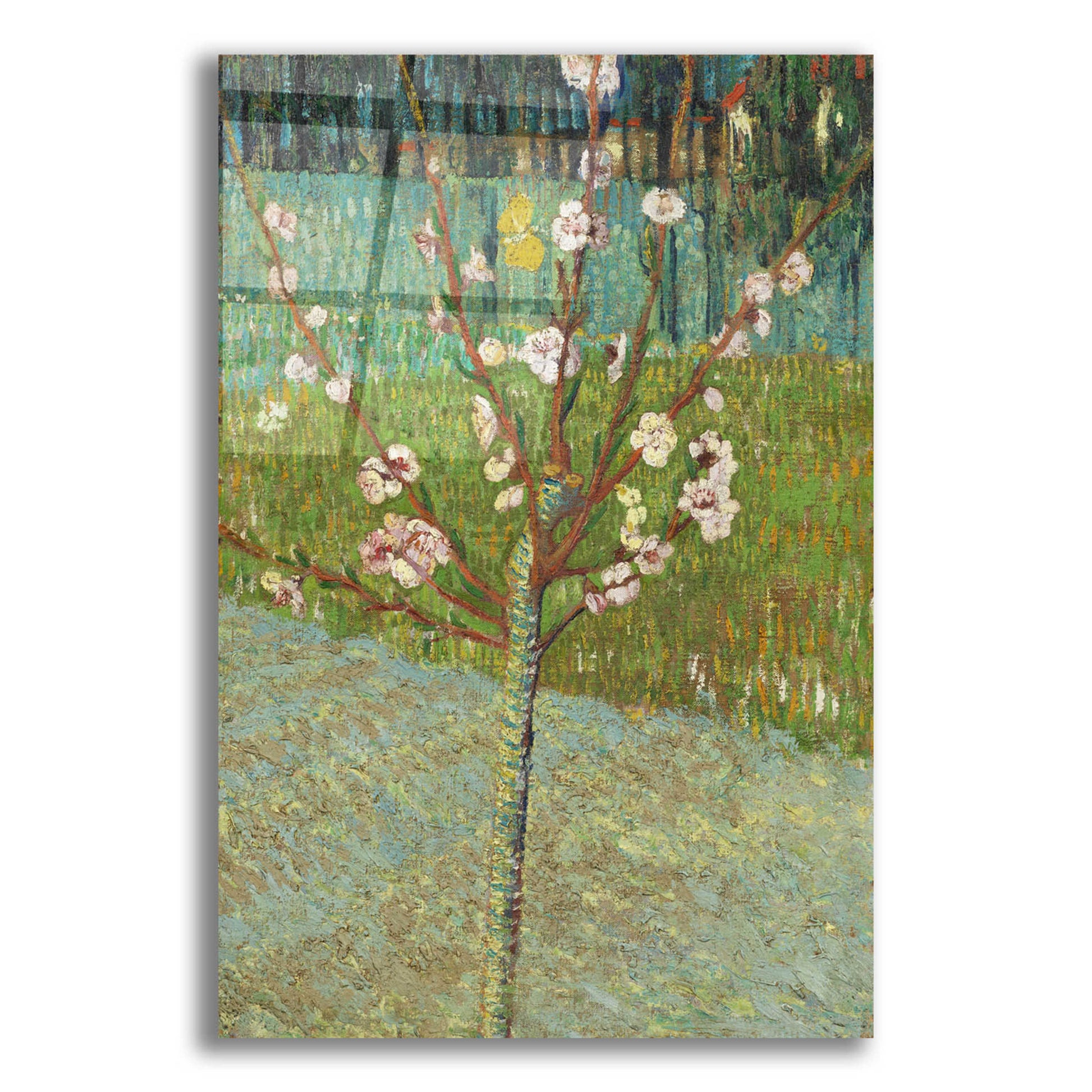 Epic Art 'Peach Tree In Blossom' by Vincent Van Gogh, Acrylic Glass Wall Art,16x24