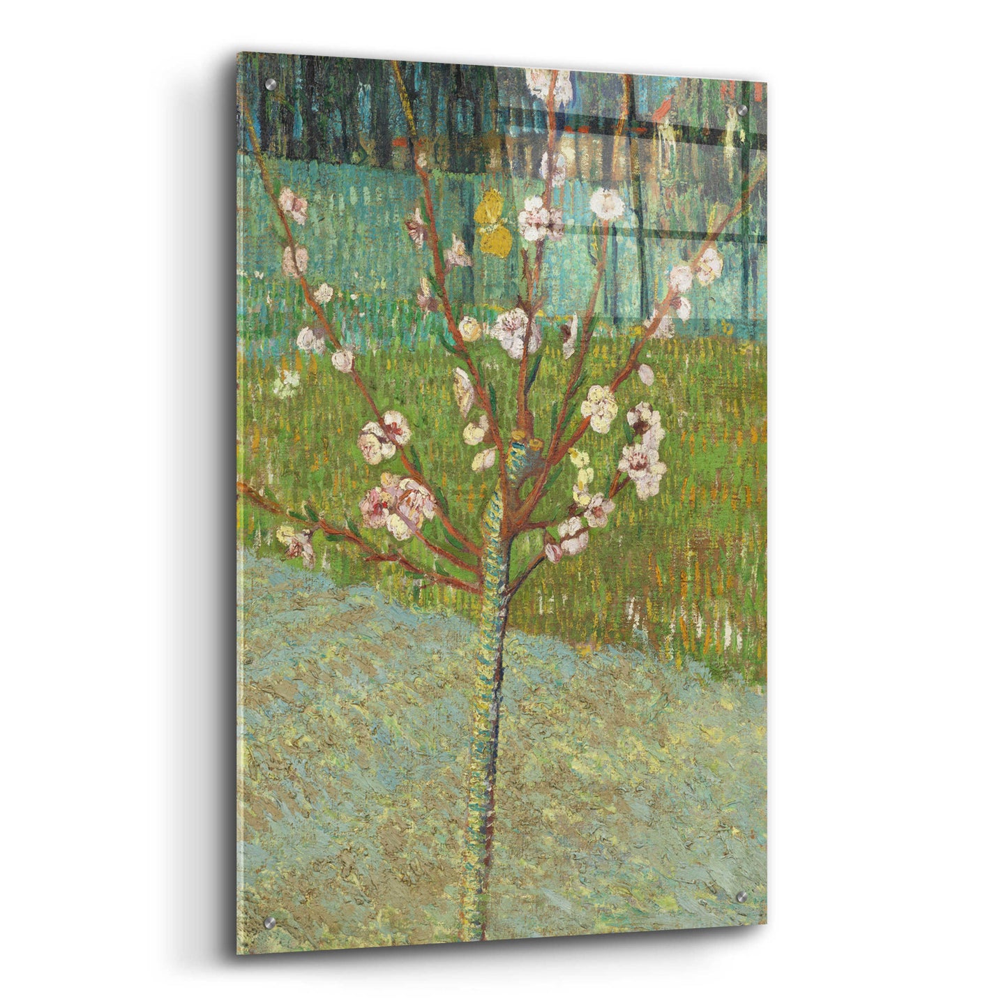 Epic Art 'Peach Tree In Blossom' by Vincent Van Gogh, Acrylic Glass Wall Art,24x36