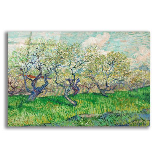 Epic Art 'Orchard In Blossom' by Vincent Van Gogh, Acrylic Glass Wall Art